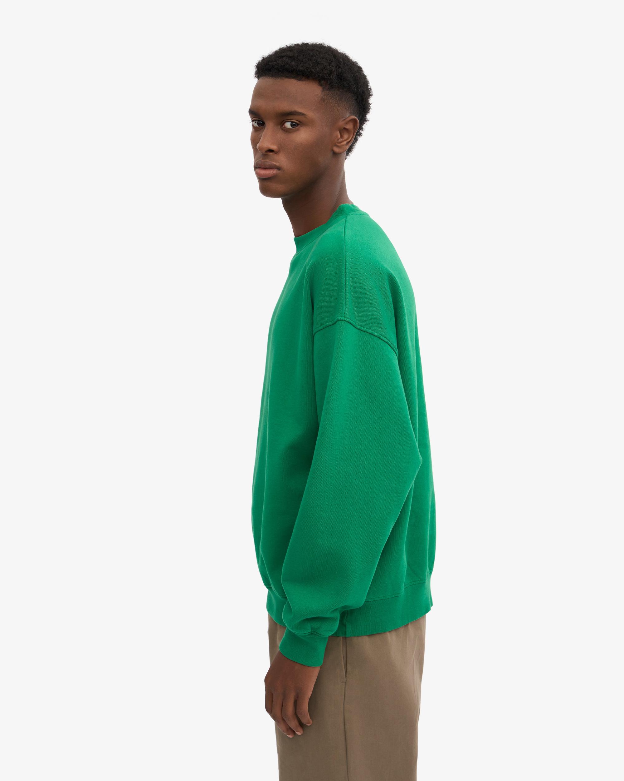 Organic Oversized Crew - Sahara Camel Product Image