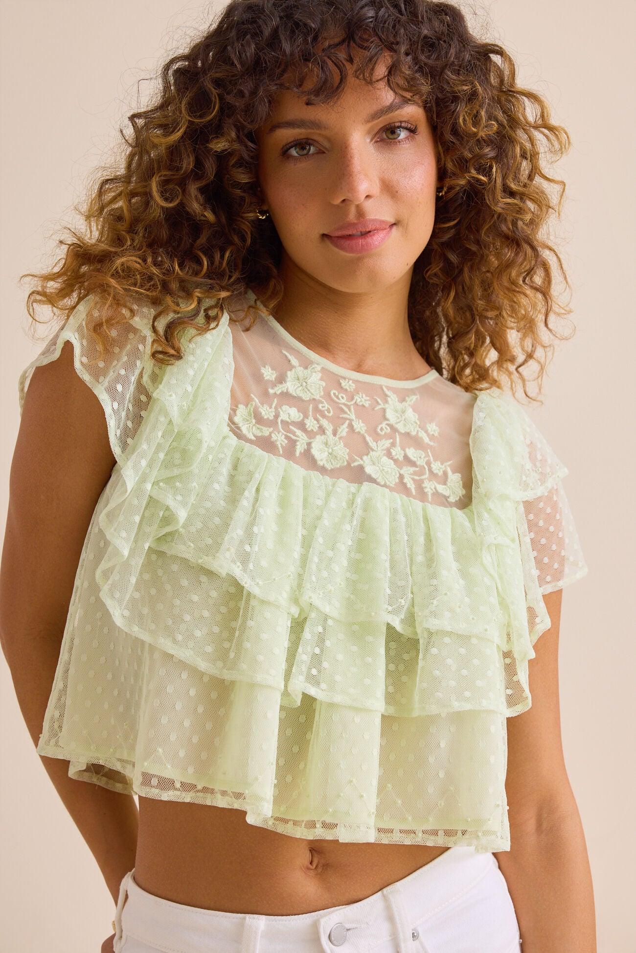 Brooklyn Dot Mesh Embroidered Top Product Image