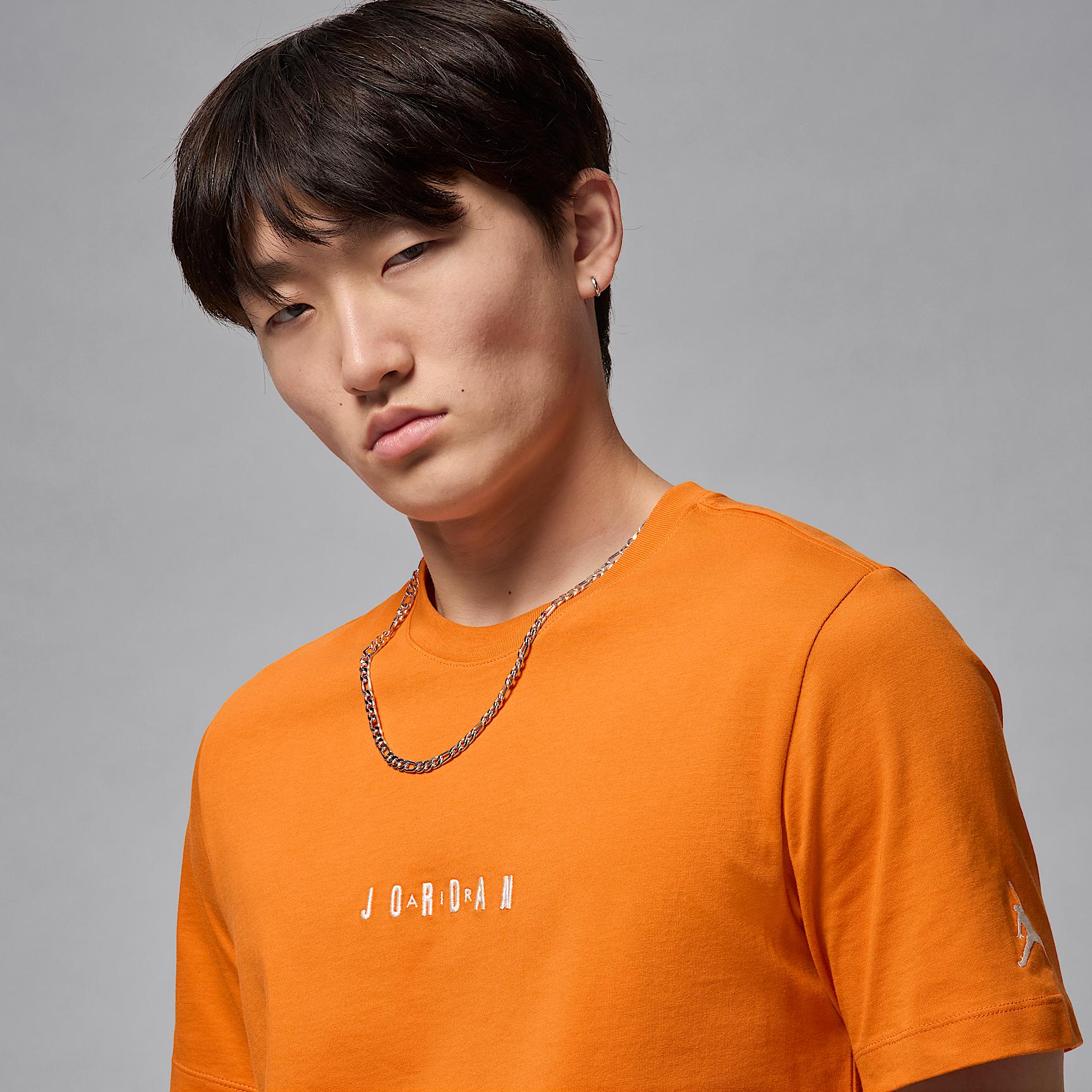 Mens Jordan Air T-Shirt | DM3182-805 Product Image