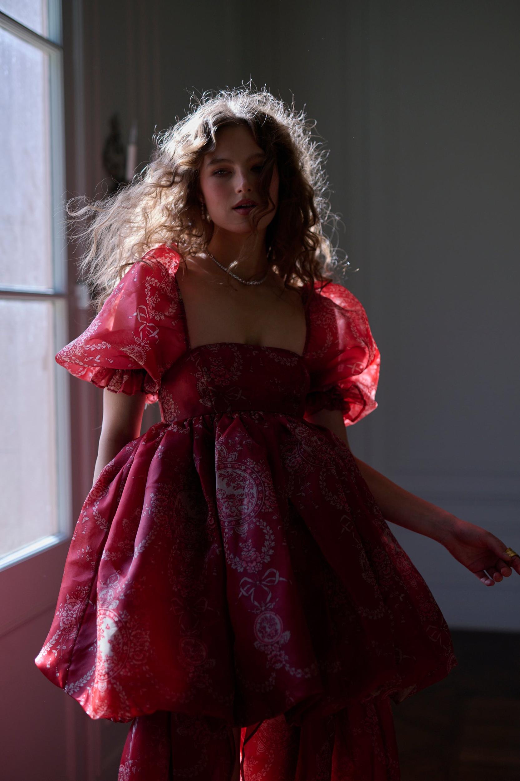 The Ornament Fairytale Gown Product Image