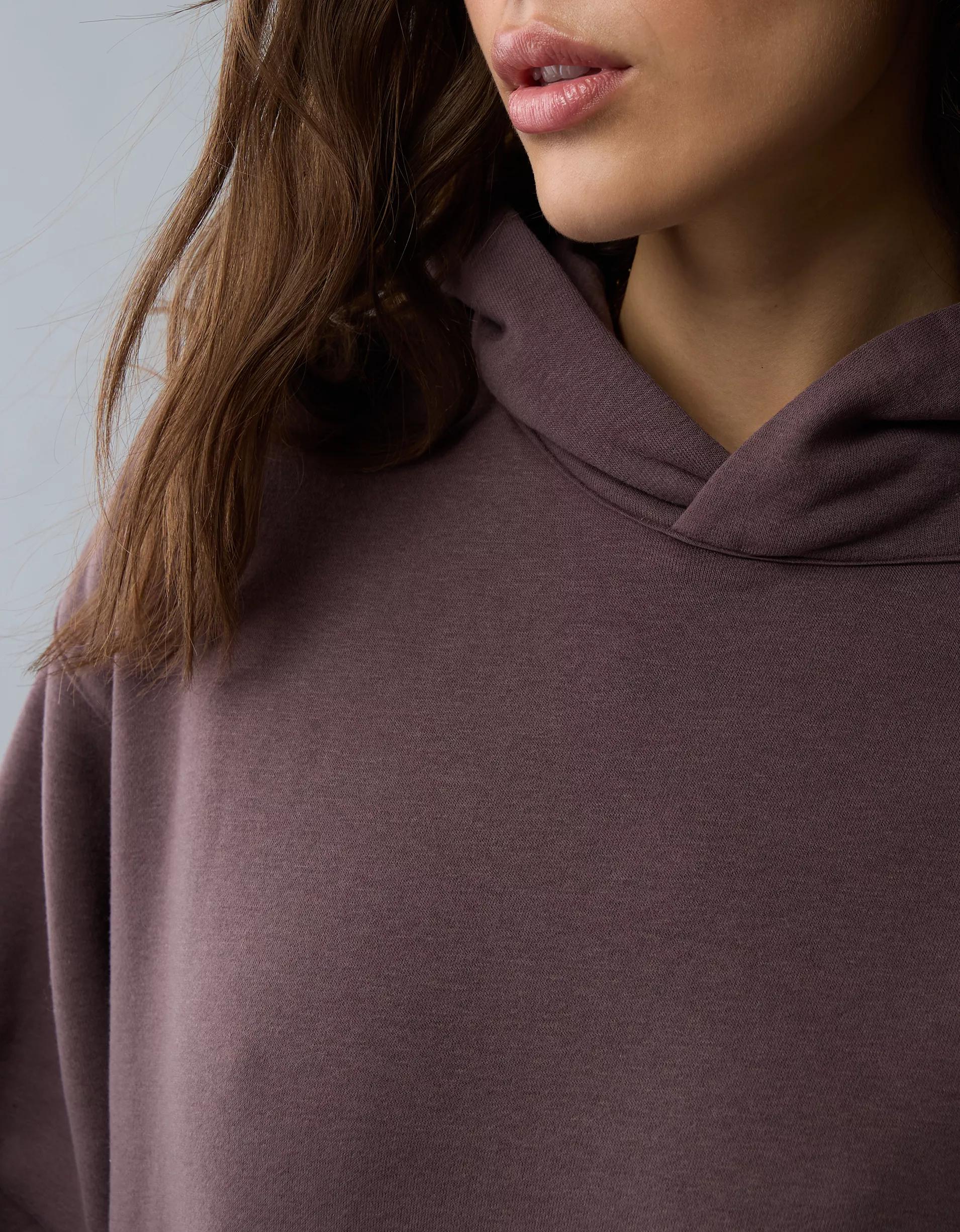 AE Everyday Luxe Hoodie Product Image
