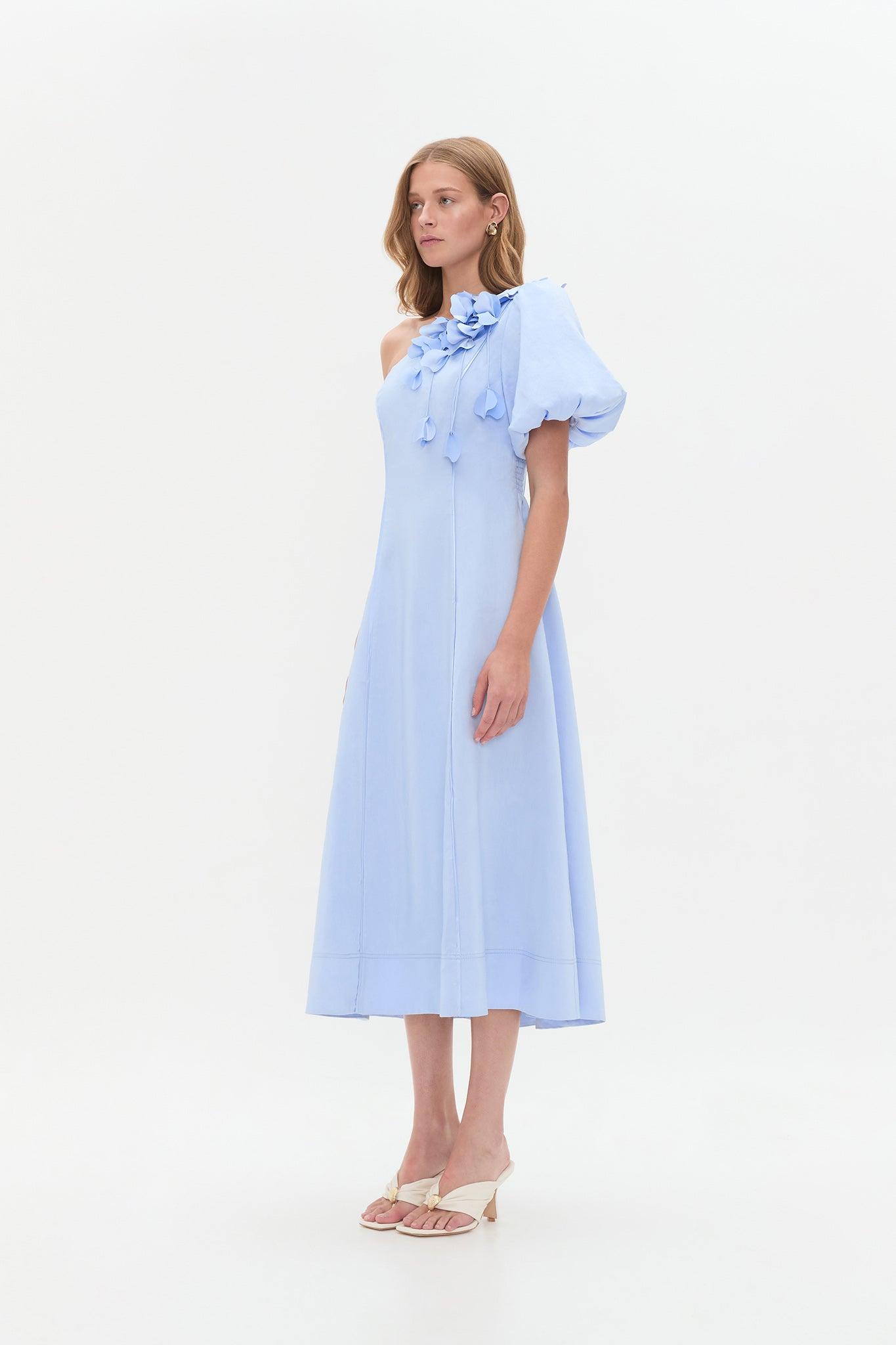 Camille Midi Dress Product Image