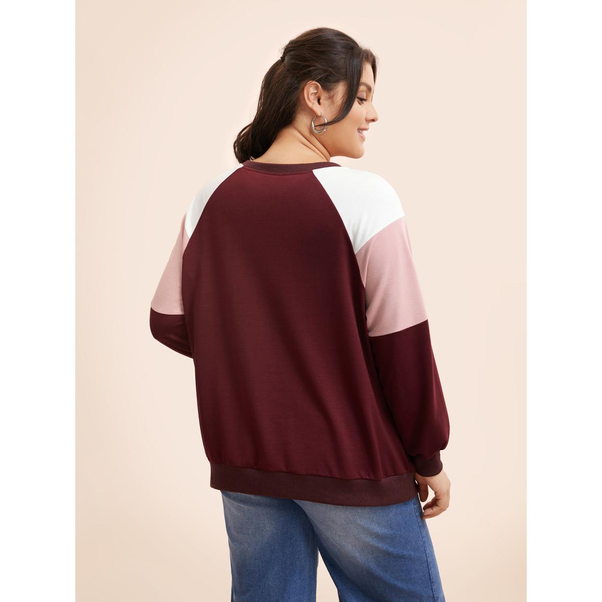 Plus Size Colorblock Contrast Raglan Sleeve Sweatshirt Women Multicolor Casual Contrast Round Neck Everyday Sweatshirts BloomChic 26/4X Product Image