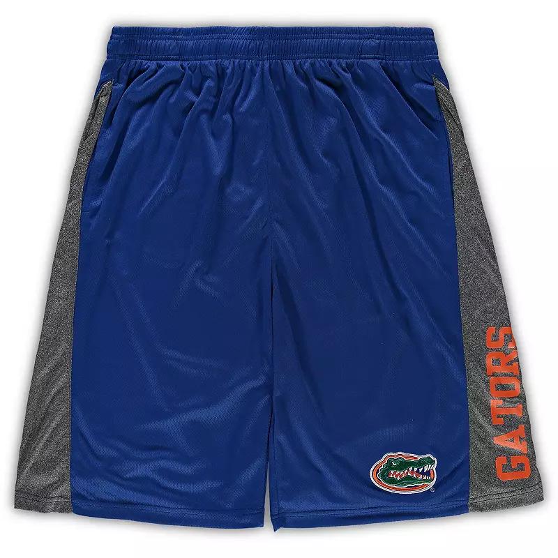 Mens Royal Florida Gators Big & Tall Textured Shorts Product Image