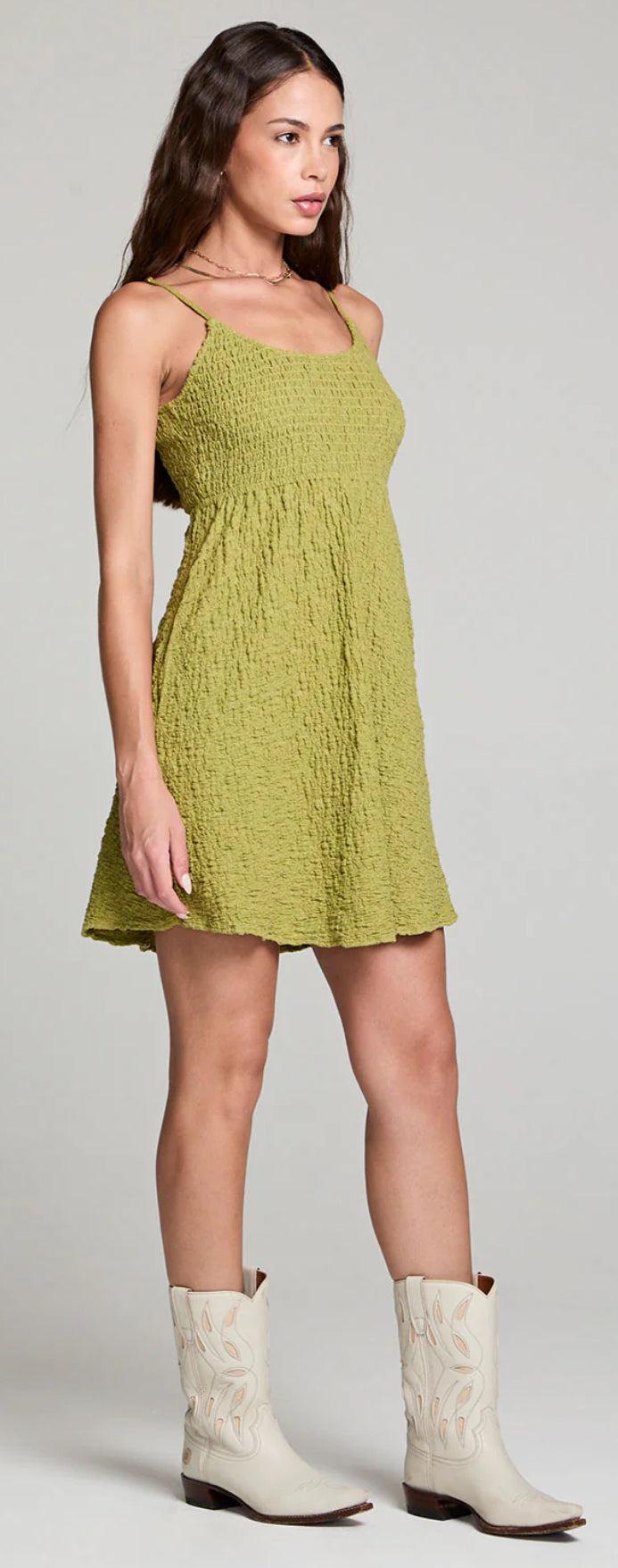 Saltwater Luxe Jazmyn Mini Dress Product Image