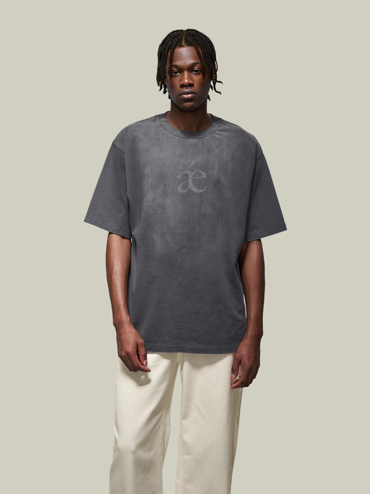 Aelfric Eden Essential aé Gradient Washed Tee Product Image
