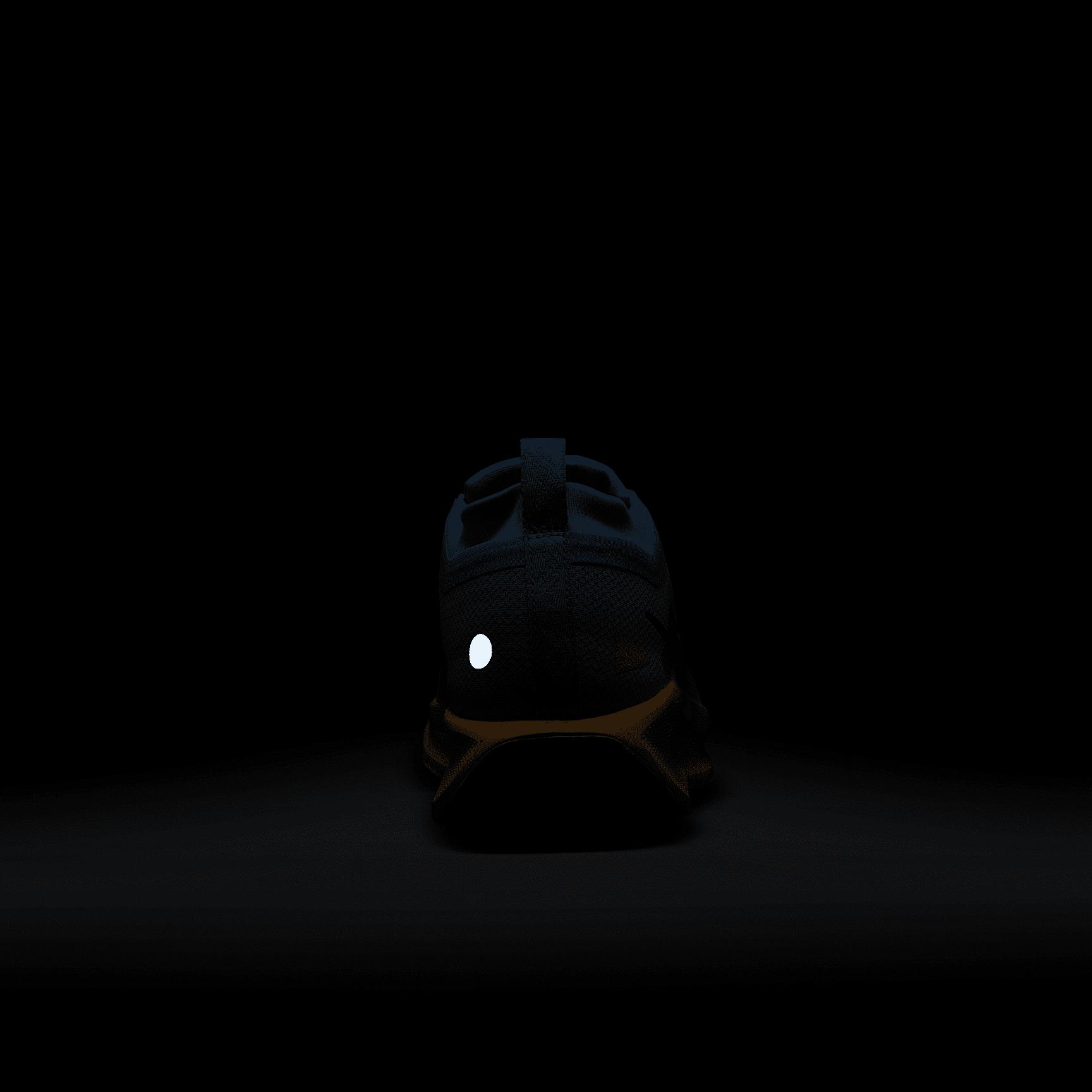 Mens Nike Pegasus Trail 5 GORE-TEX Waterproof Trail Running Shoes Product Image