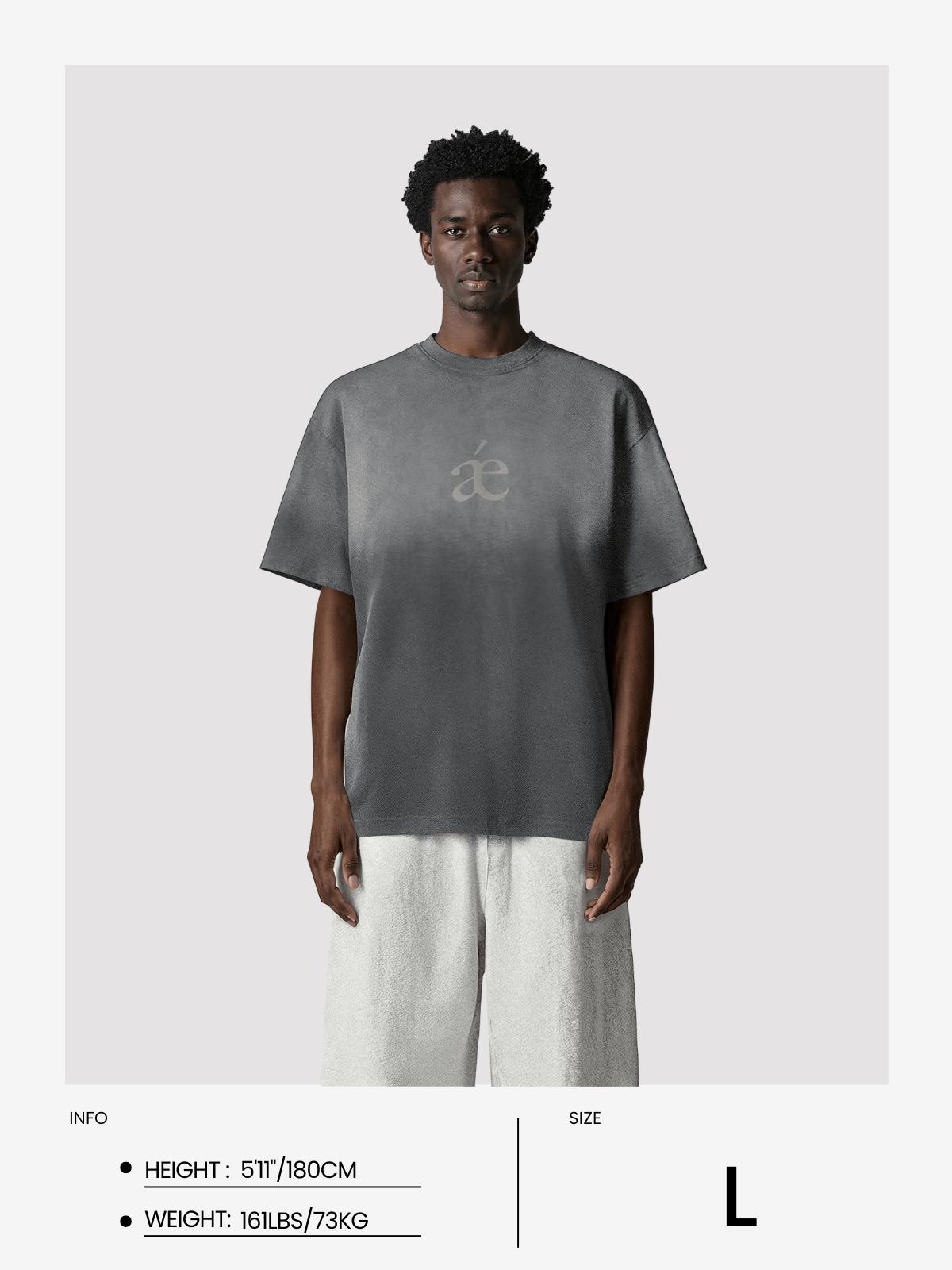 Aelfric Eden Essential aé Gradient Washed Tee Product Image