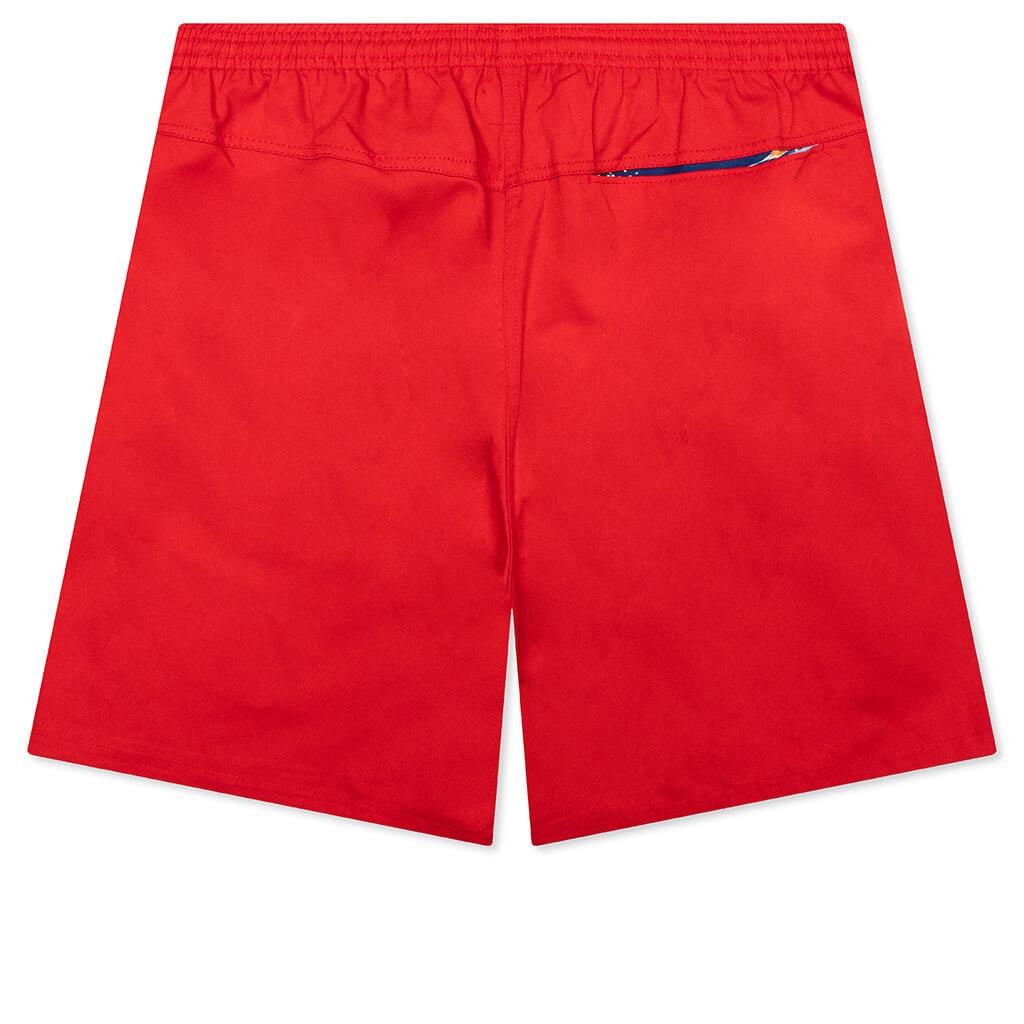 Beach Shorts - Black Male Product Image