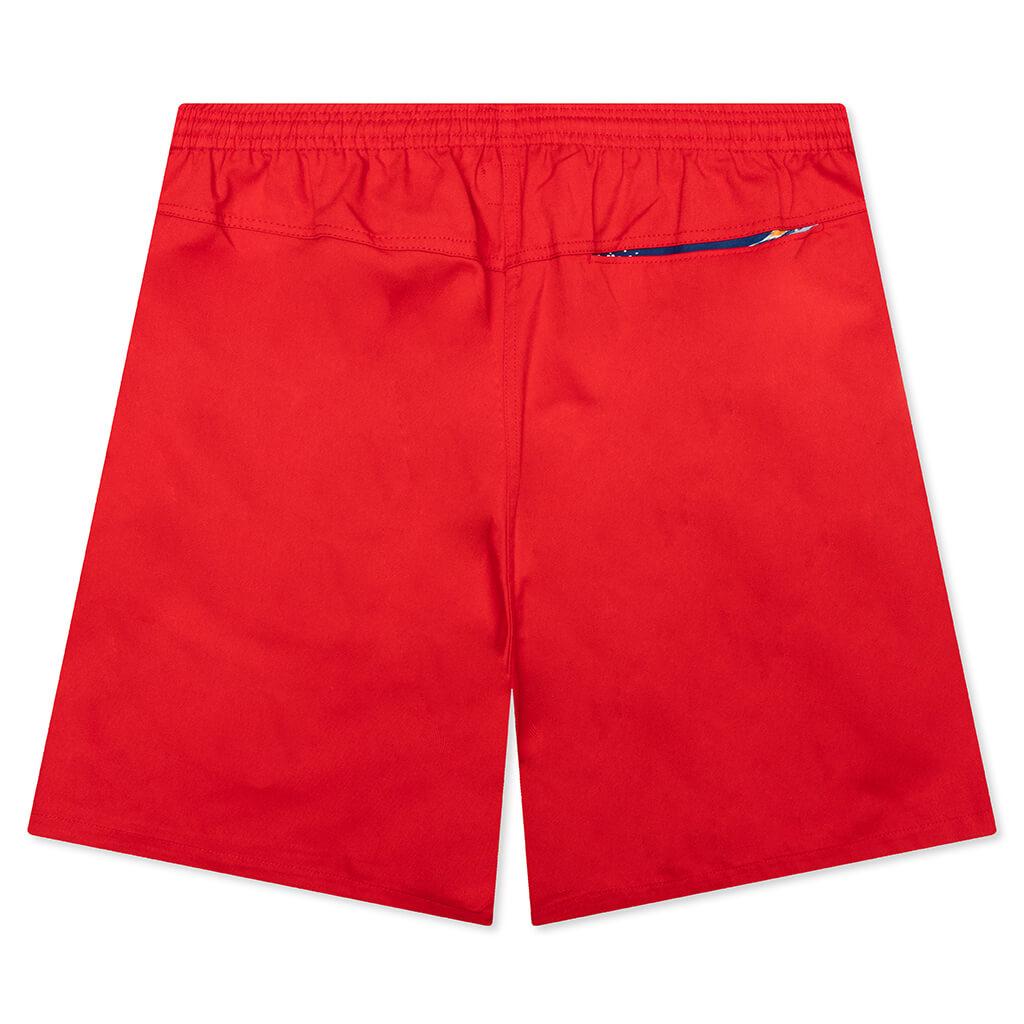 Beach Shorts - Black Male Product Image