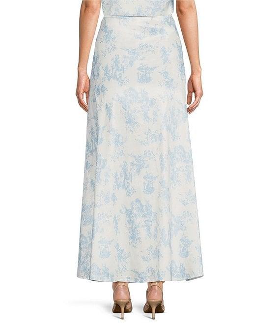 Preston & York Janet Toile A line Silhouette Midi Skirt Product Image