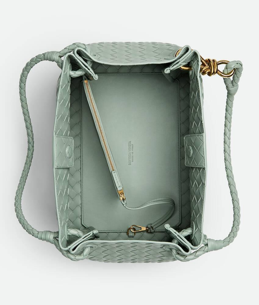 Women's Large Parachute in New sauge Product Image