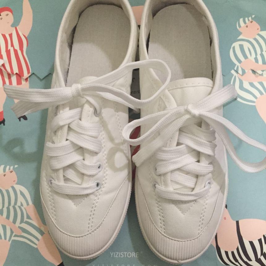 Plain Lace Up Canvas Sneaker Product Image
