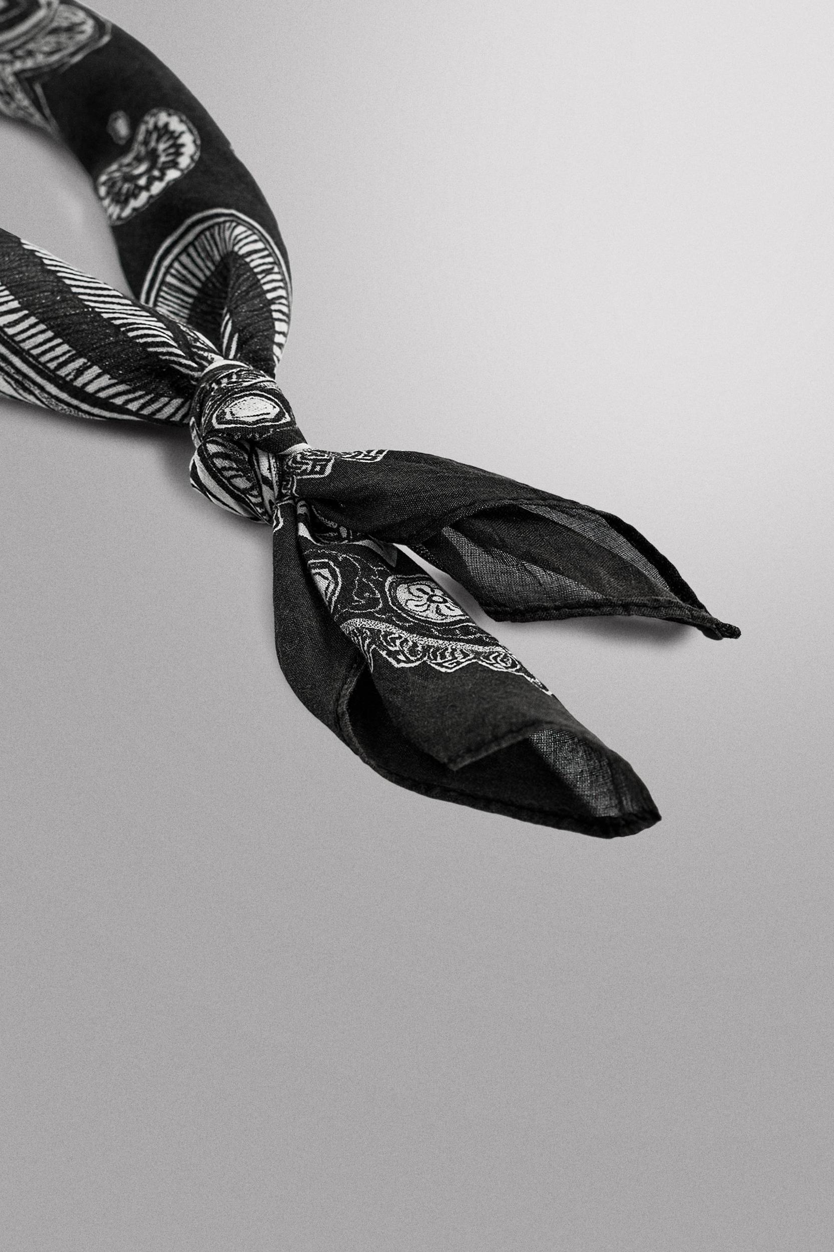 PAISLEY PRINT BANDANA Product Image