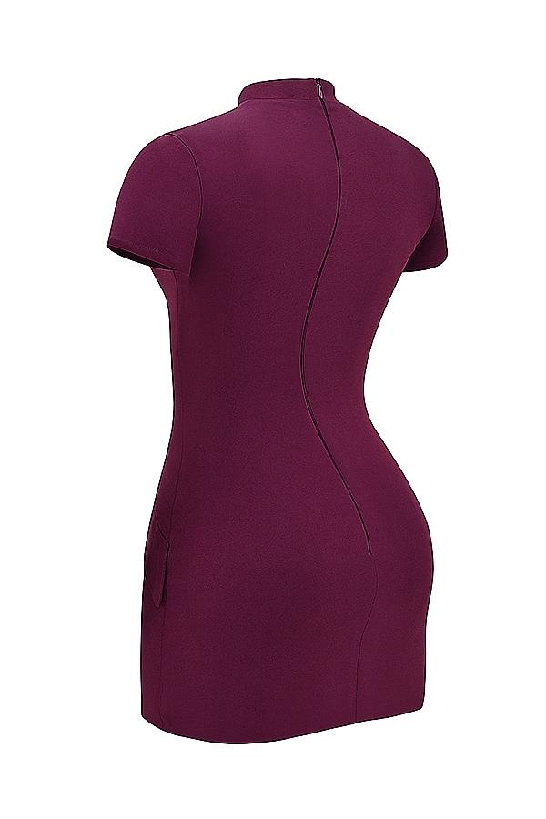 Alia  mulberry mini dress Product Image