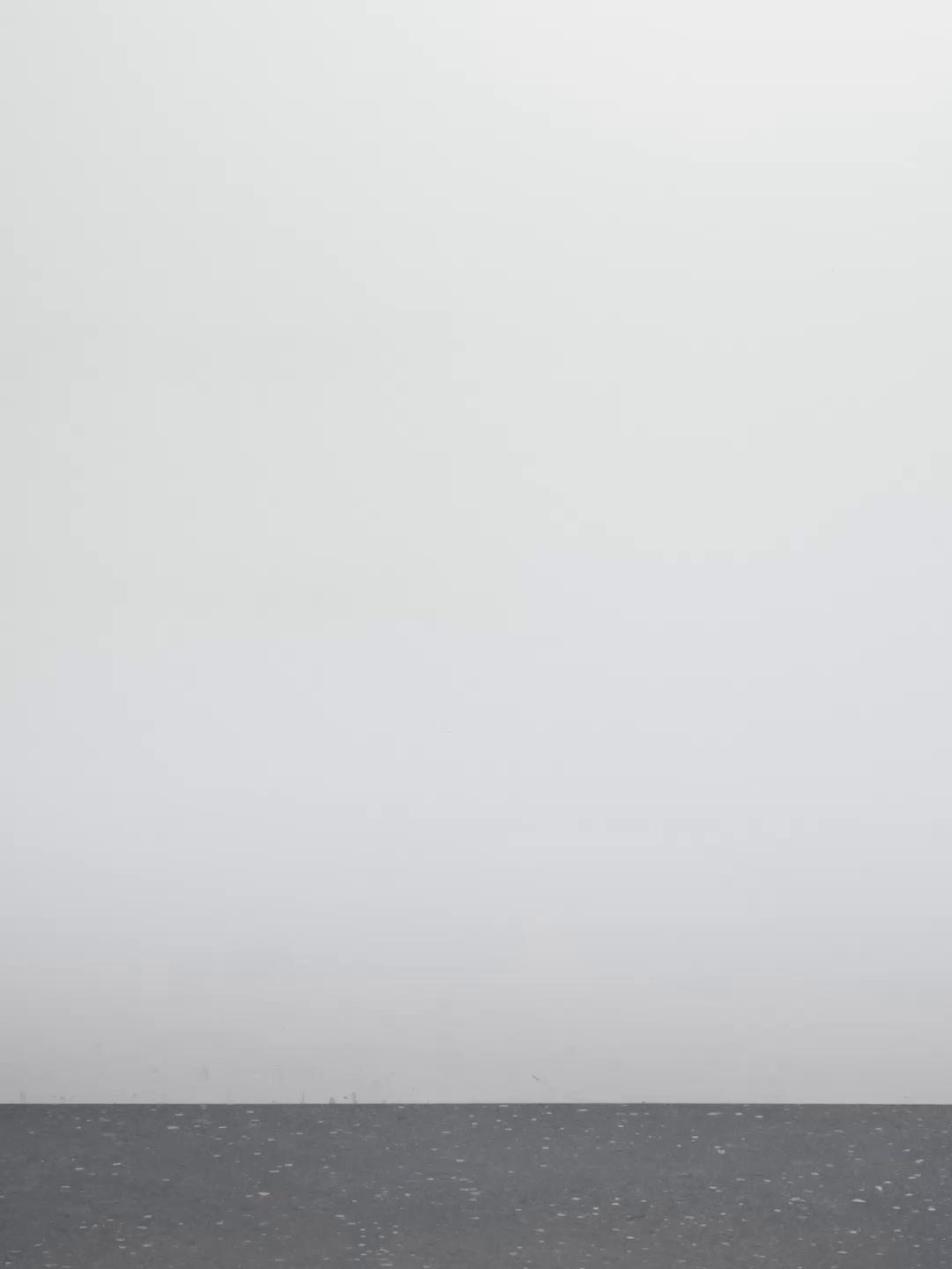 Cotton poplin carpenter Bermuda shorts Product Image