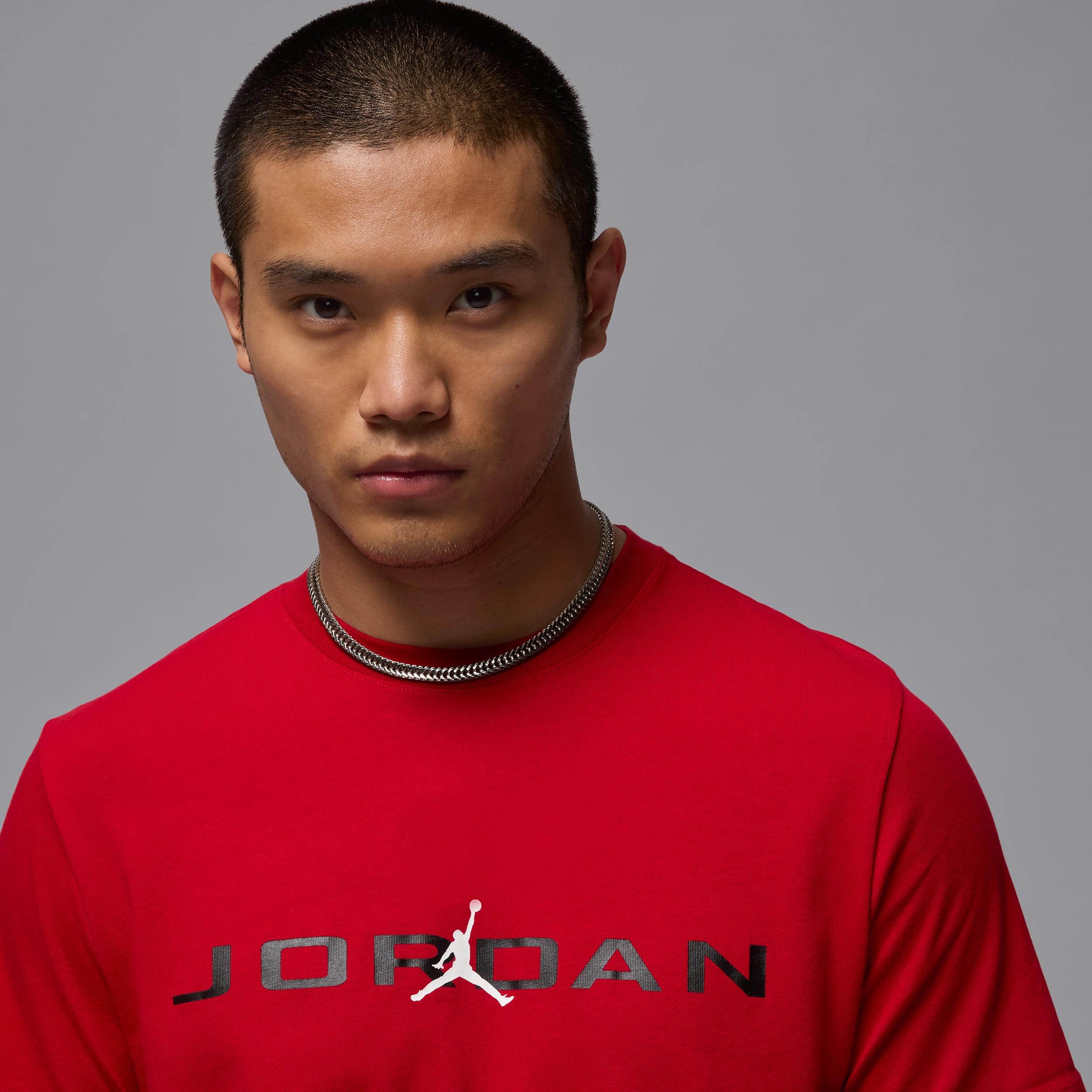Mens Jordan Air T-Shirt | IB7353-687 Product Image