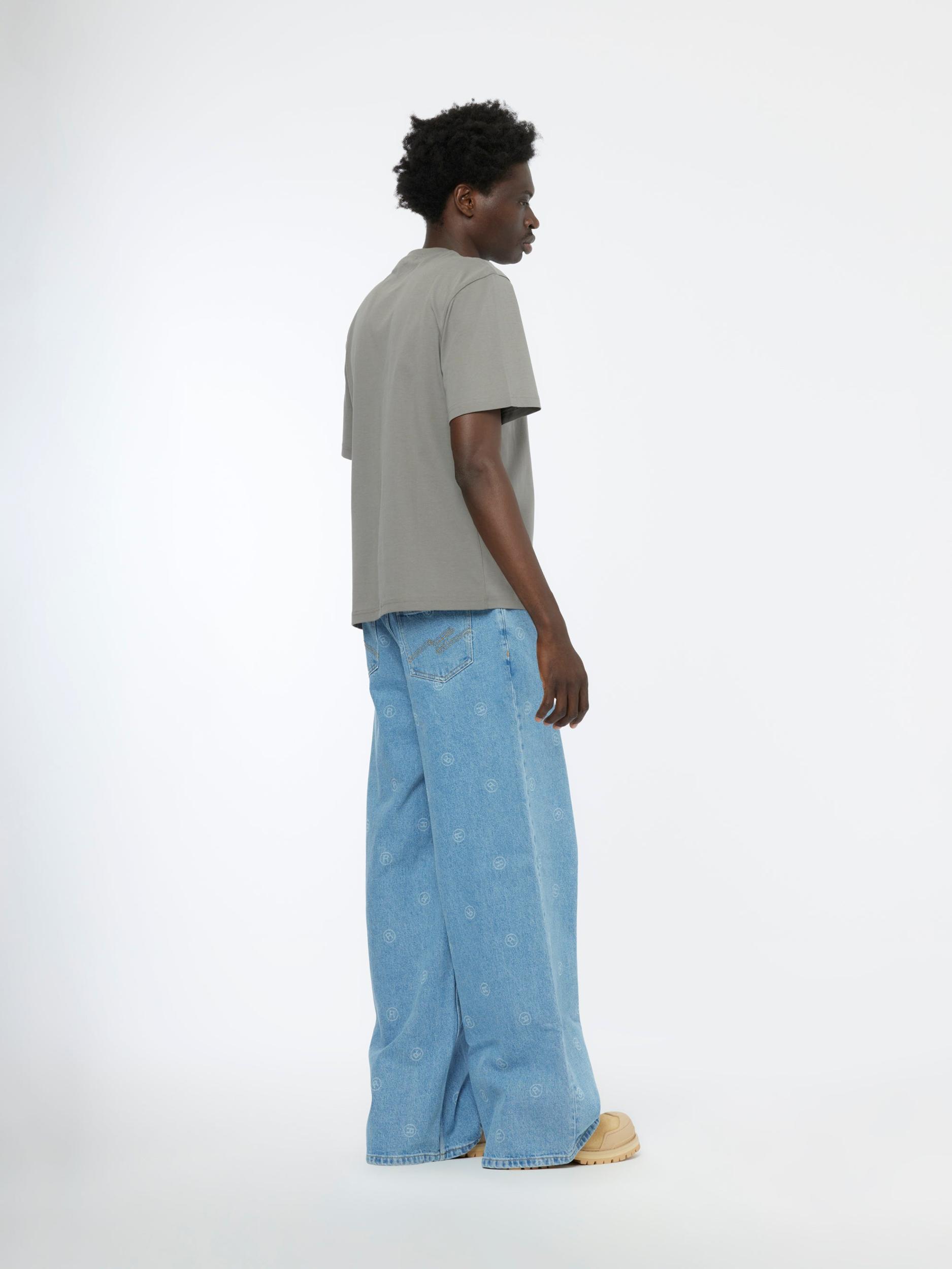 Dragon Classic T-Shirt (Grey) Product Image