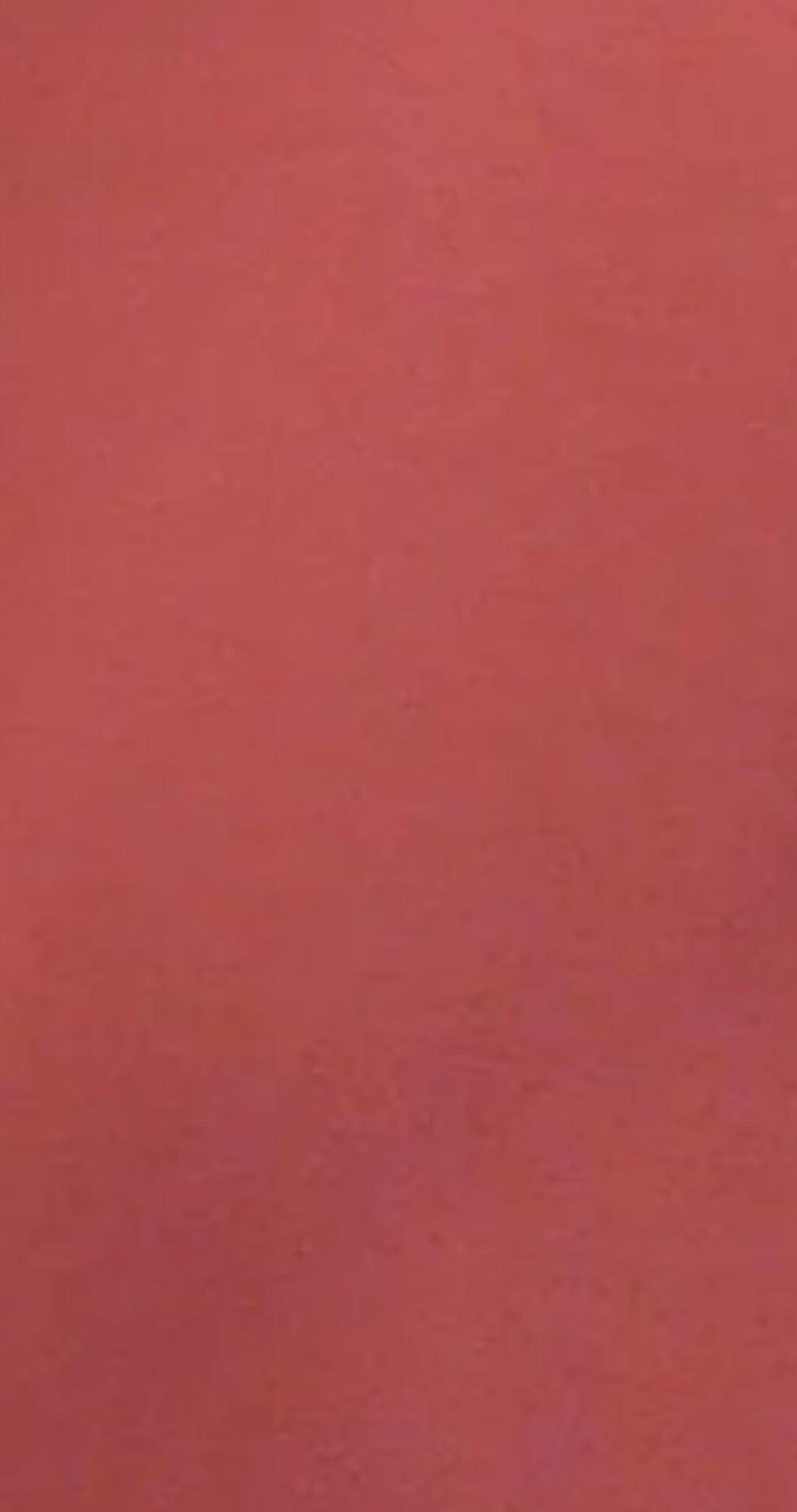 Brenda Laine Tencel Lyocell Crew Tank Product Image