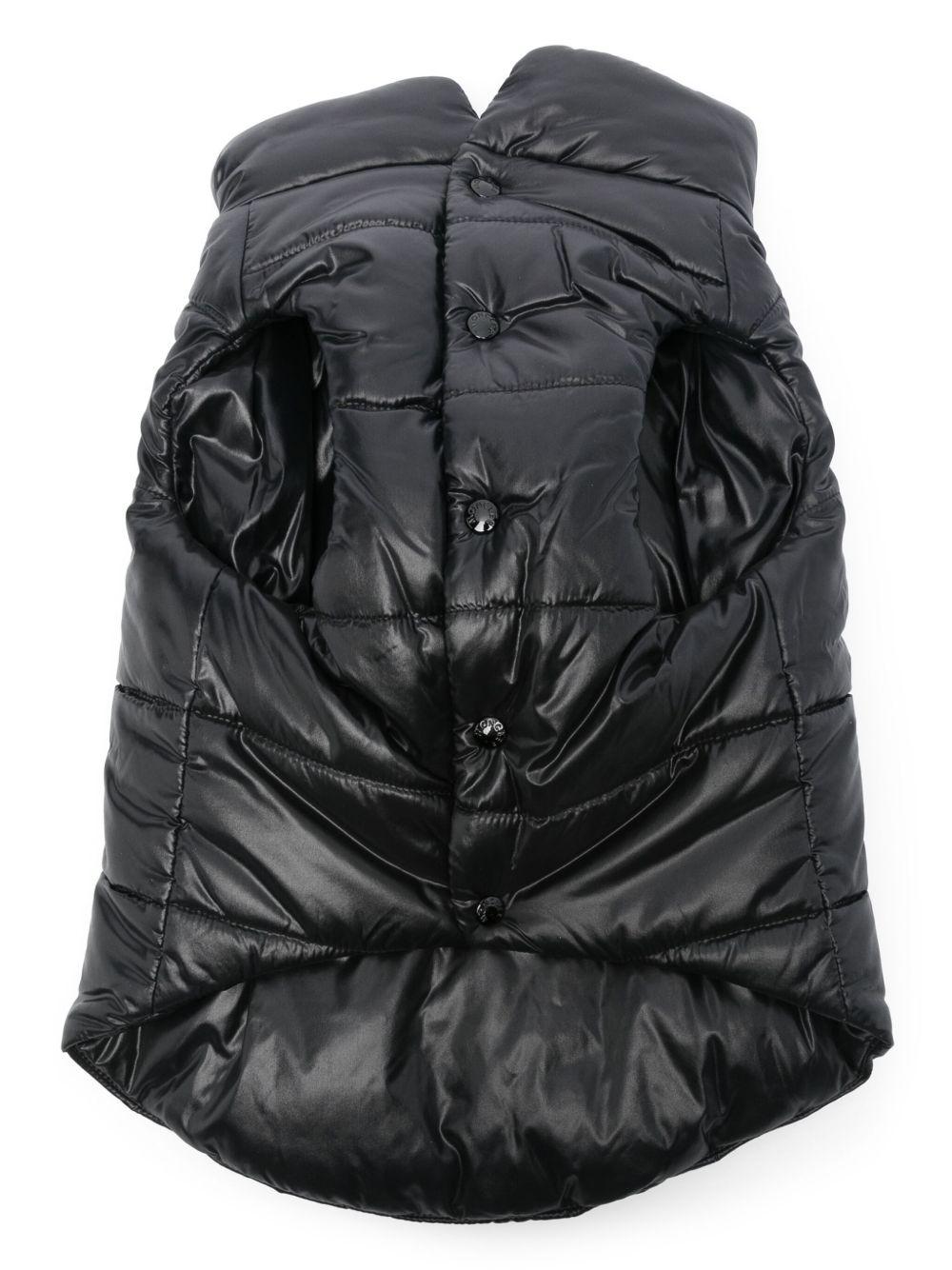 dog vest Product Image