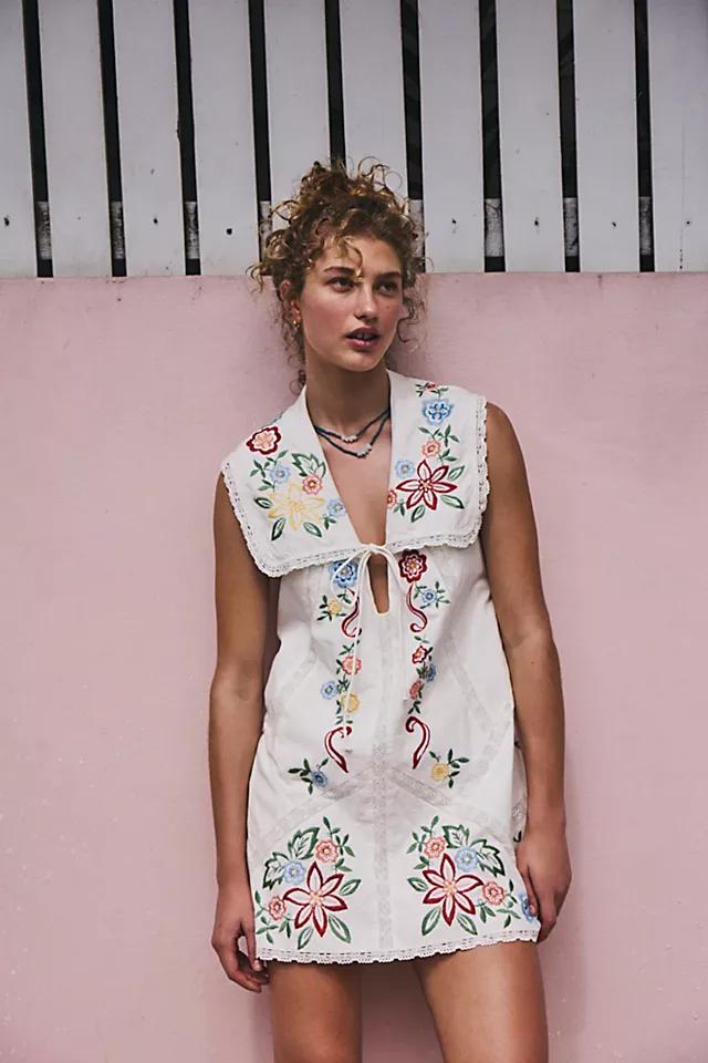 Willow Embroidered Mini Dress Product Image