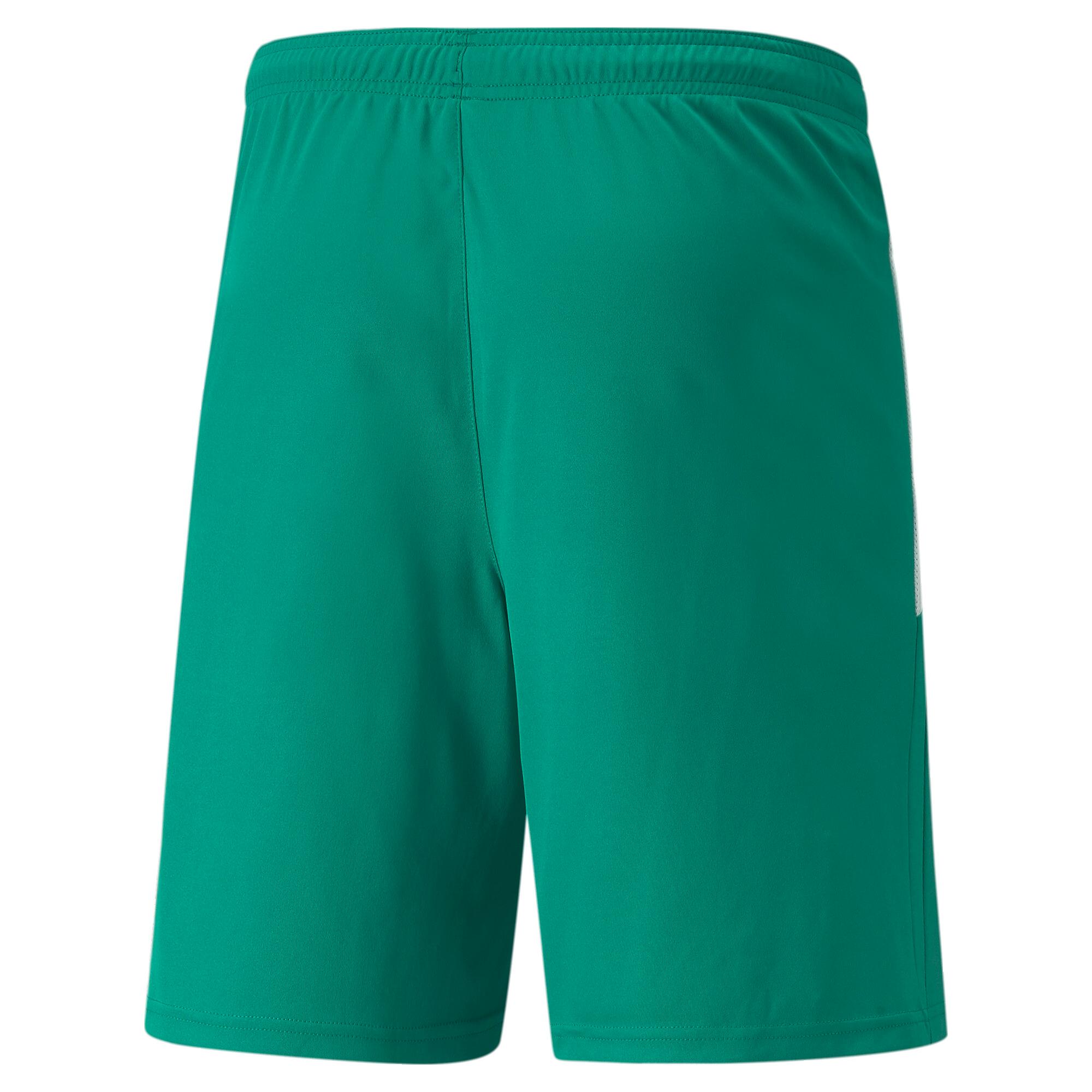 teamLIGA Men's Soccer Shorts Product Image