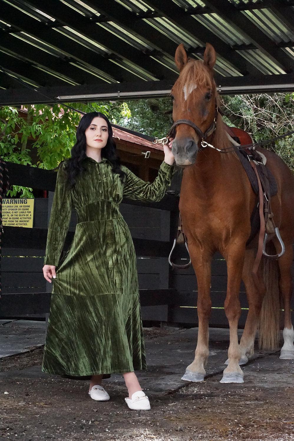 Michal Velvet Dress Product Image