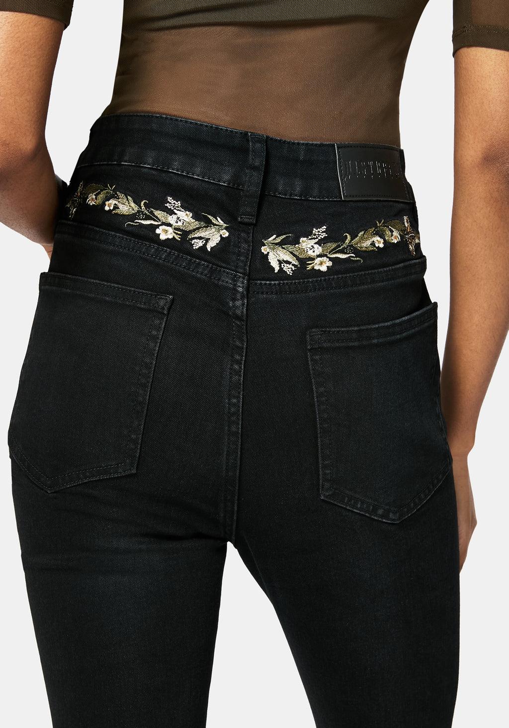 Abundance Embroidered Denim Skinny Jean Product Image
