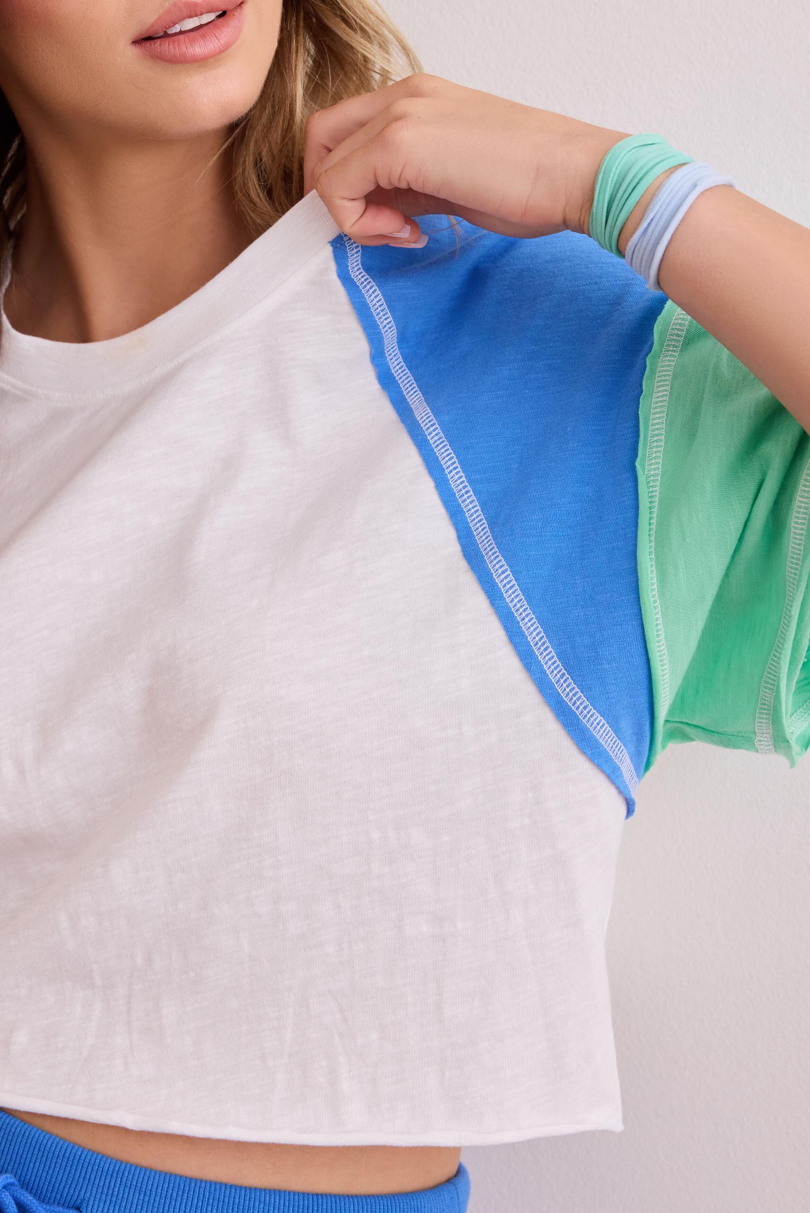 Ace Color Block Crop Tee Product Image
