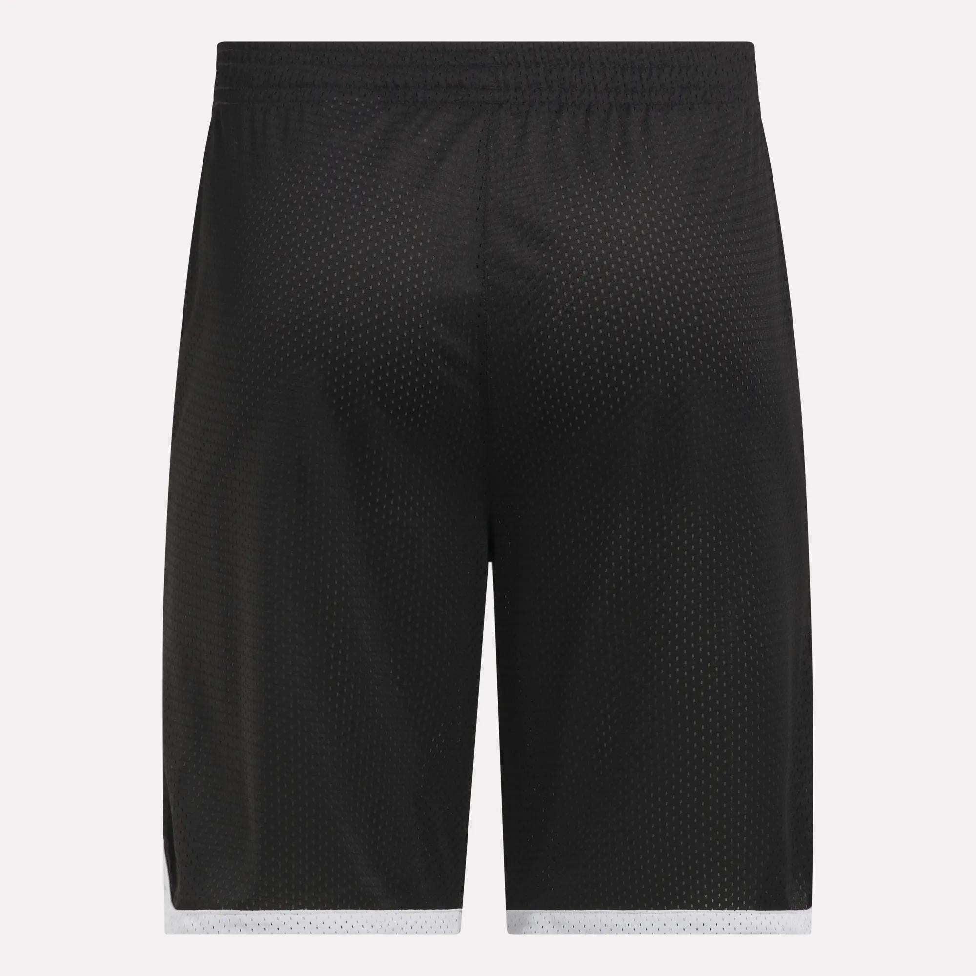Men's Basketball Mesh Shorts Male Product Image