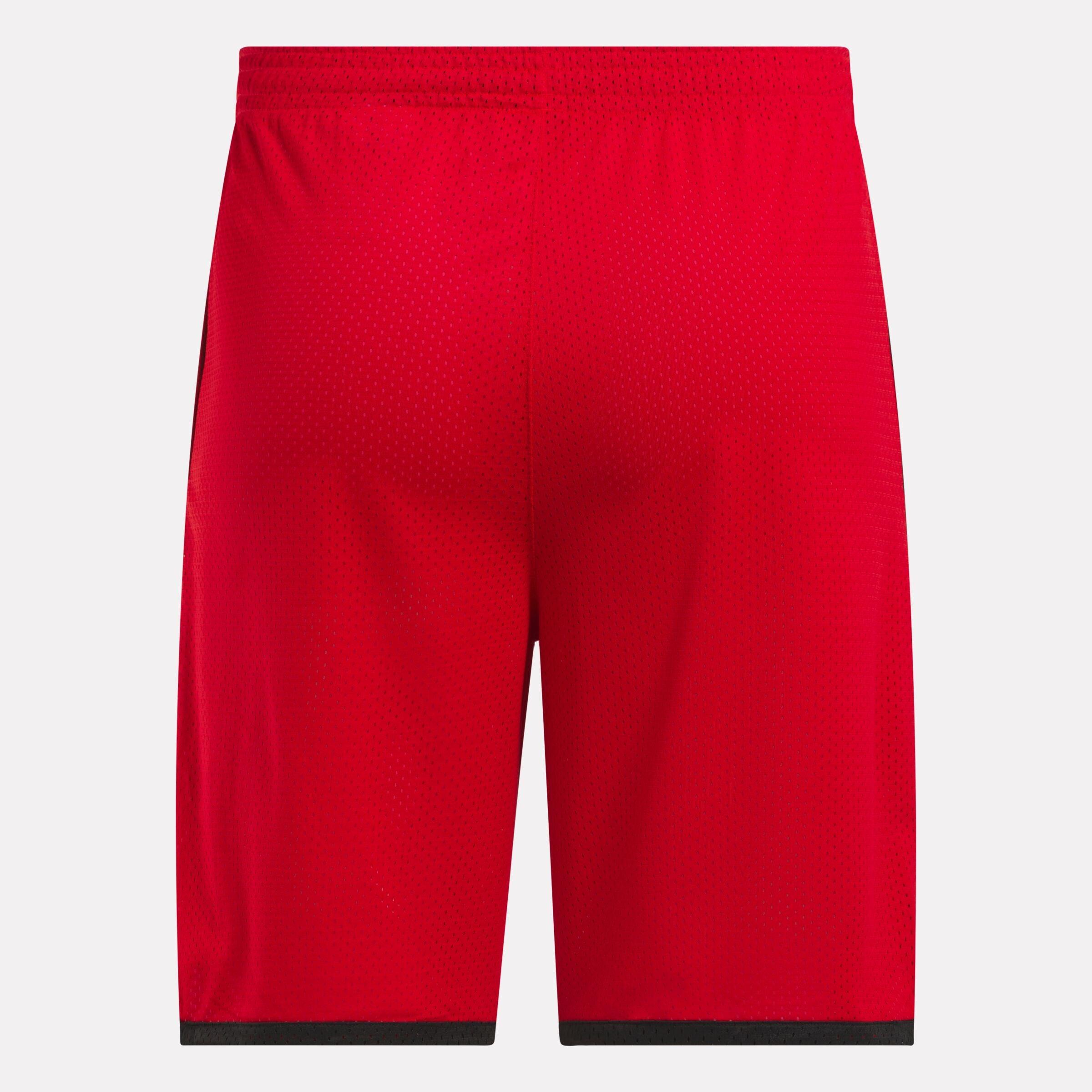 Men's Basketball Mesh Shorts Male Product Image