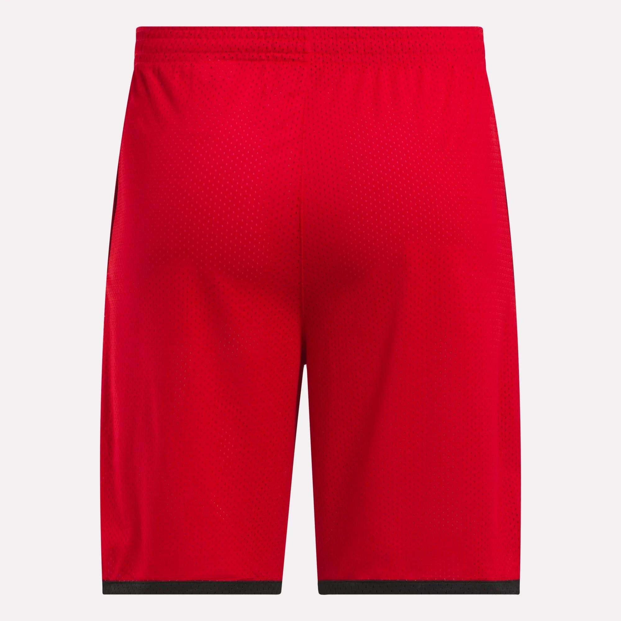 Men's Basketball Mesh Shorts Male Product Image