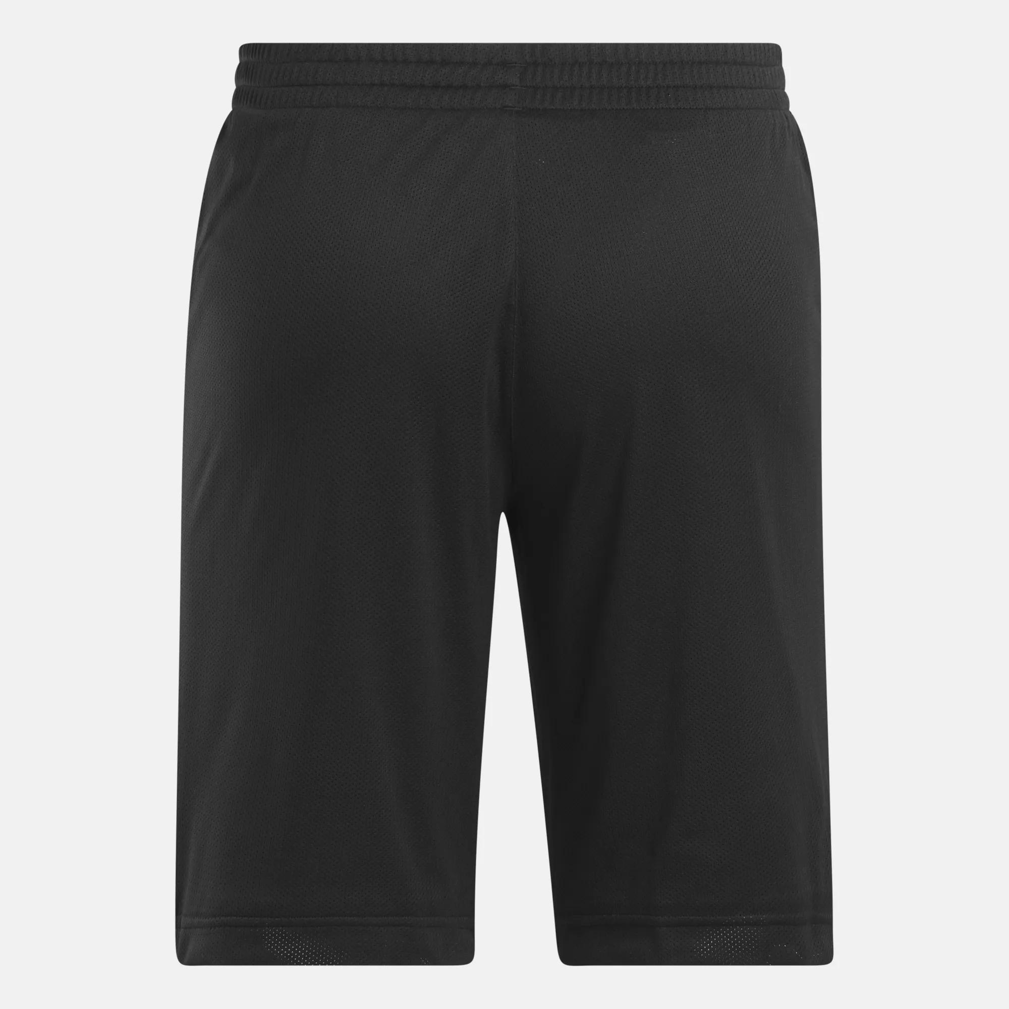 Men's Basketball Open-Hole Mesh Shorts Male Product Image