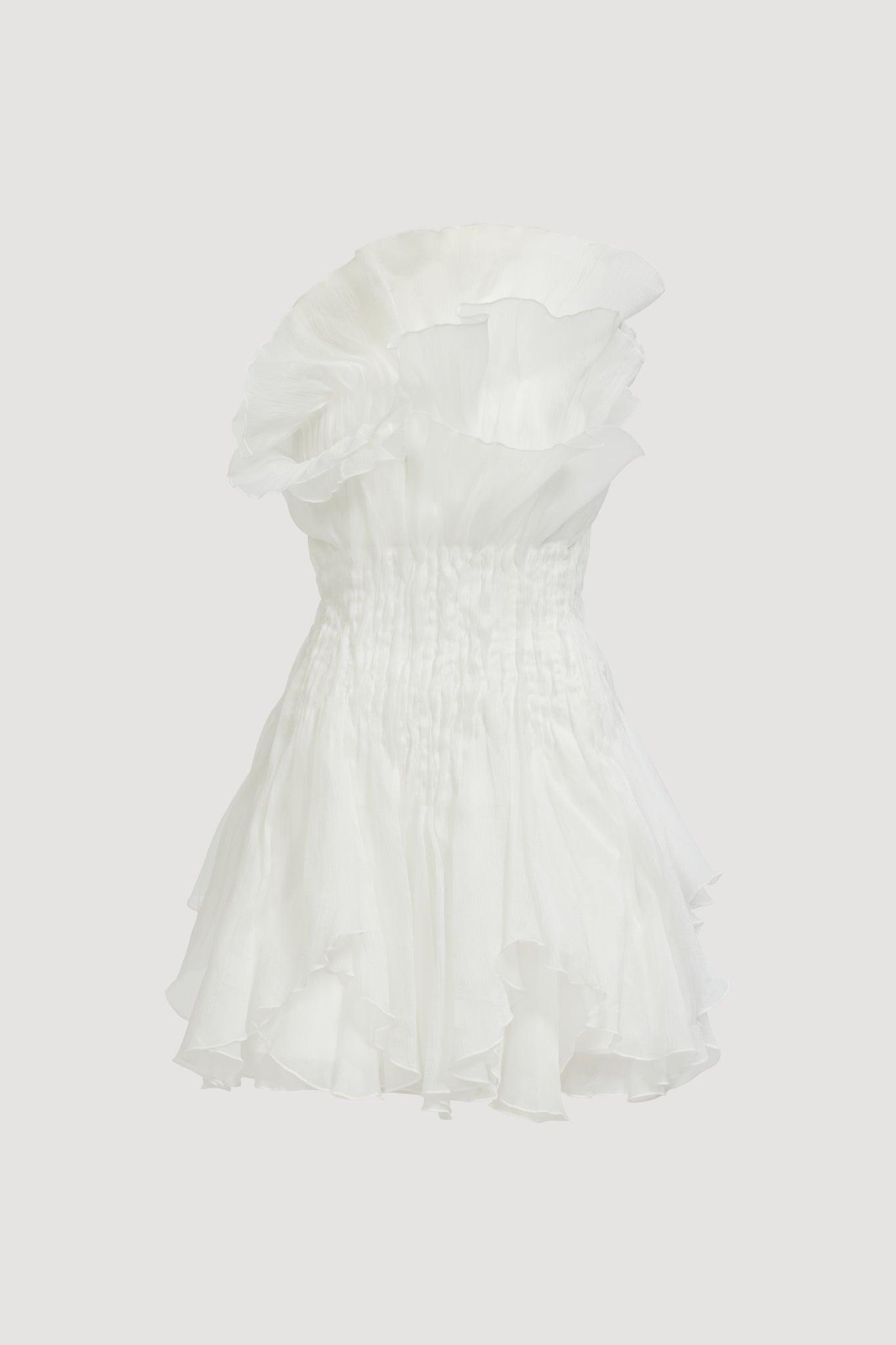 Nisha Mini Dress-IVORY / 4 Product Image