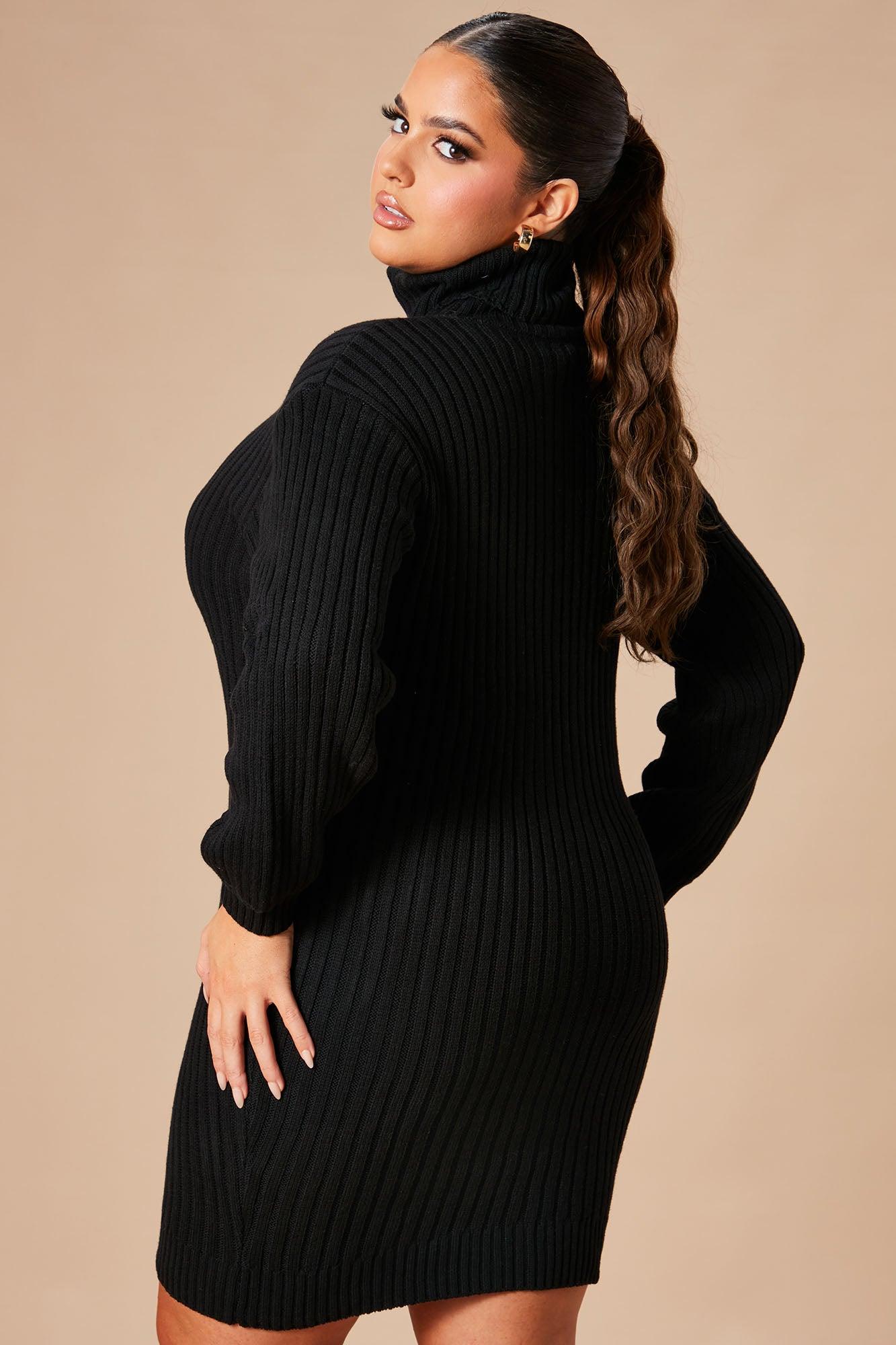 Too Cozy Turtle Neck Sweater Dress - Black Female Product Image