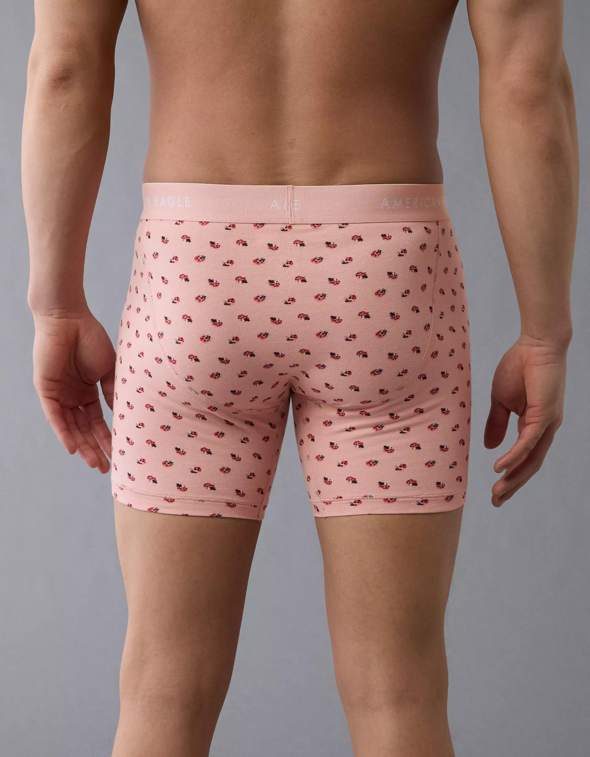 AEO Men's Ladybugs 6" Classic Boxer Brief Product Image