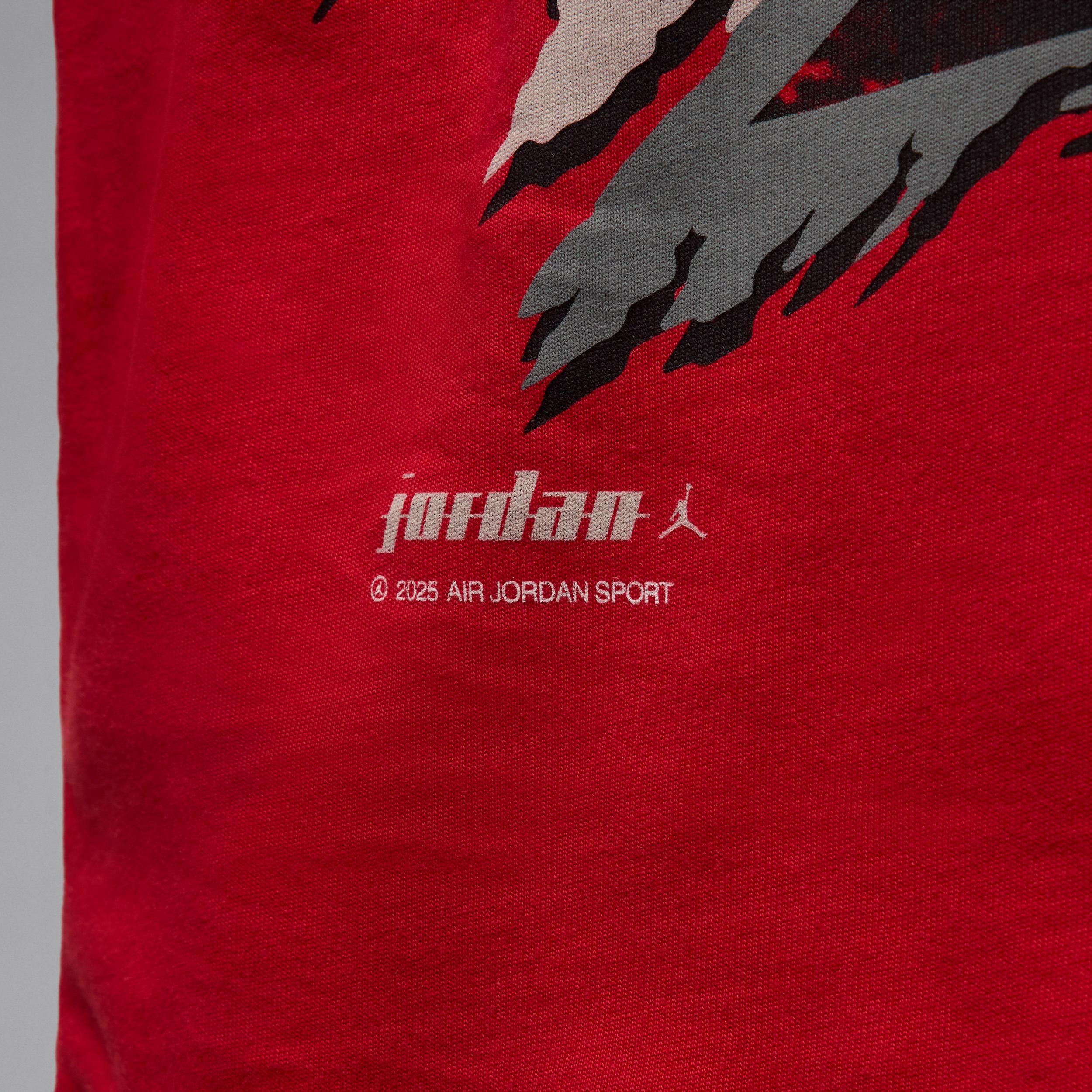 Mens Jordan T-Shirt | IB8814-671 Product Image