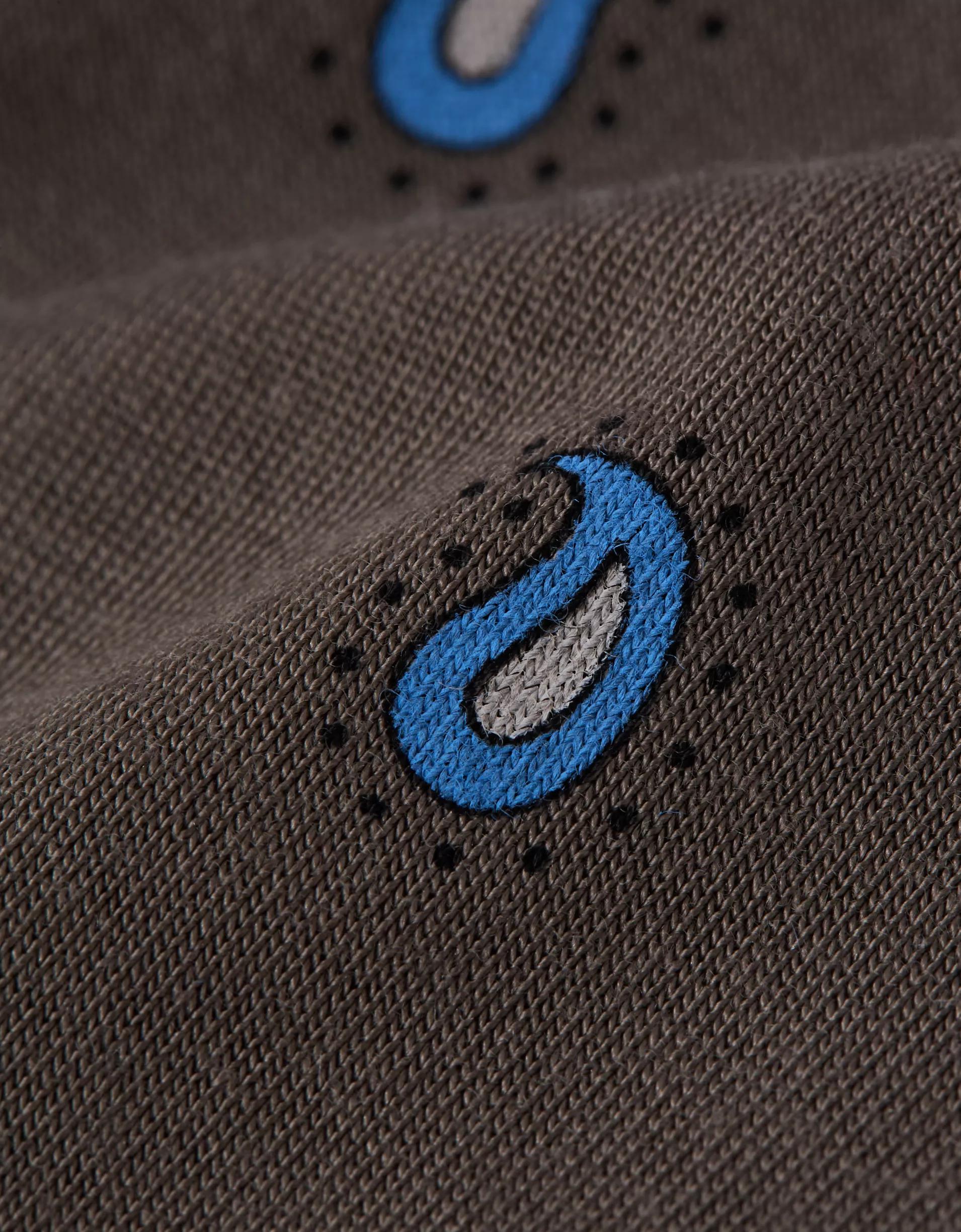 AEO Men's Paisley 4.5" Ultra Soft Boxer Brief Product Image