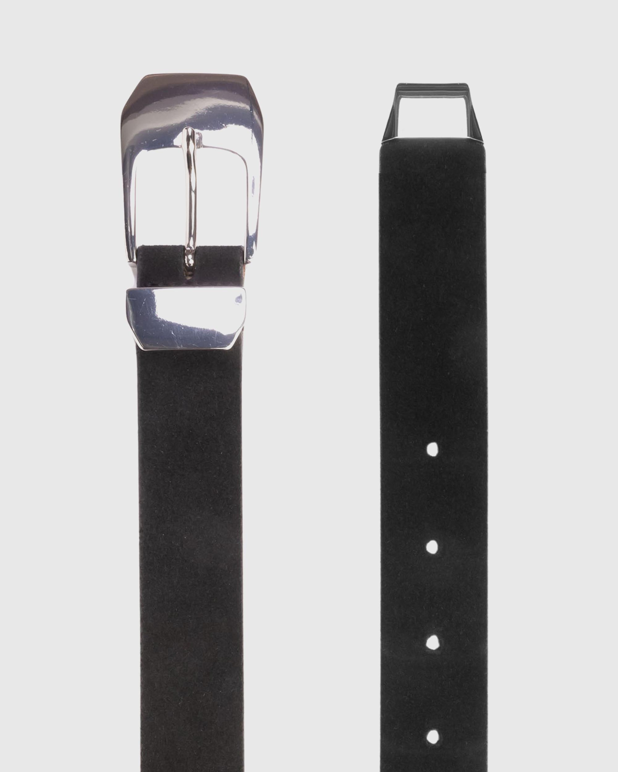 Daria Belt Product Image