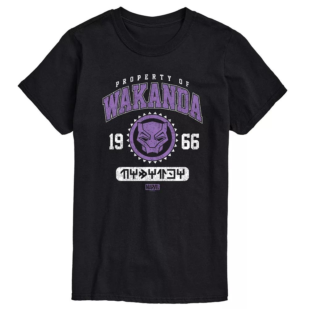 Big & Tall Marvel Black Panther Property Of Wakanda Graphic Tee, Men's,  Product Image