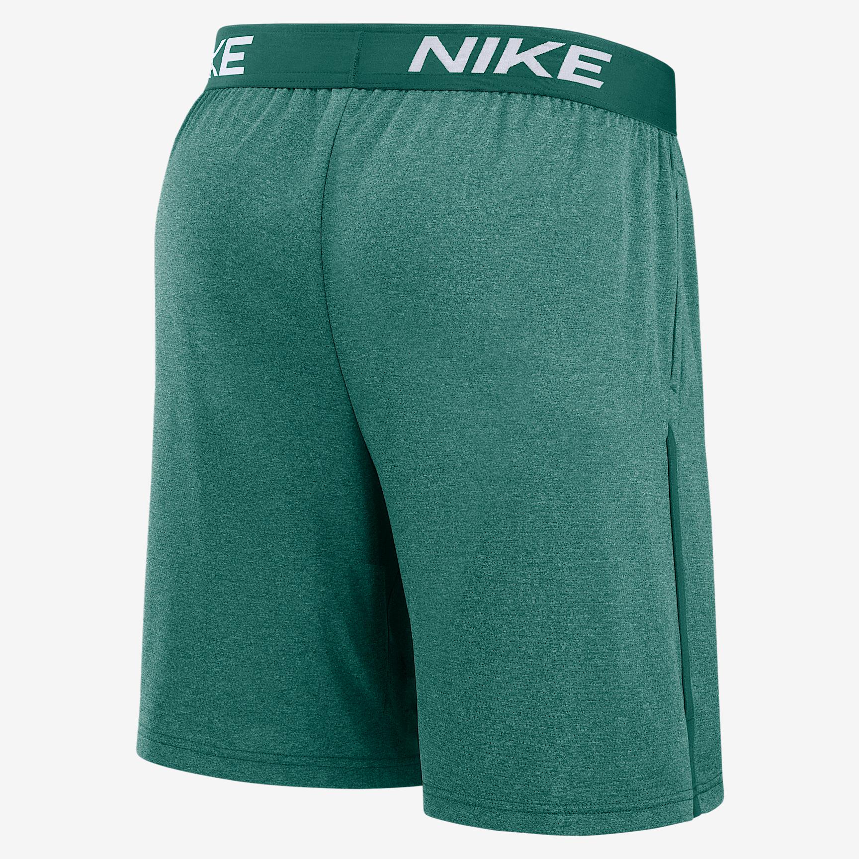 Boston Red Sox Authentic Collection City Connect Men's Nike Dri-FIT MLB Shorts Product Image