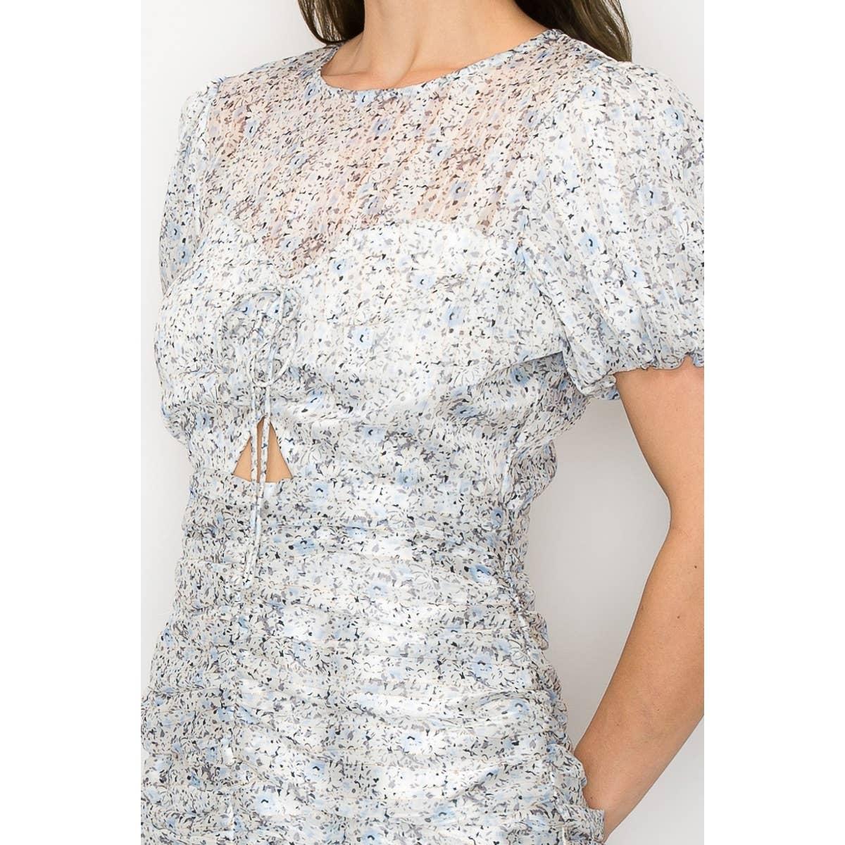 Meadow Mini Dress Product Image