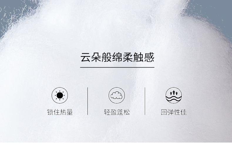 Plain Hooded Zip Puffer Coat Product Image