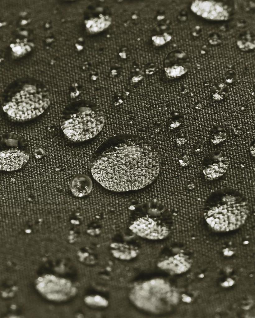 UA Expanse Quilted Product Image