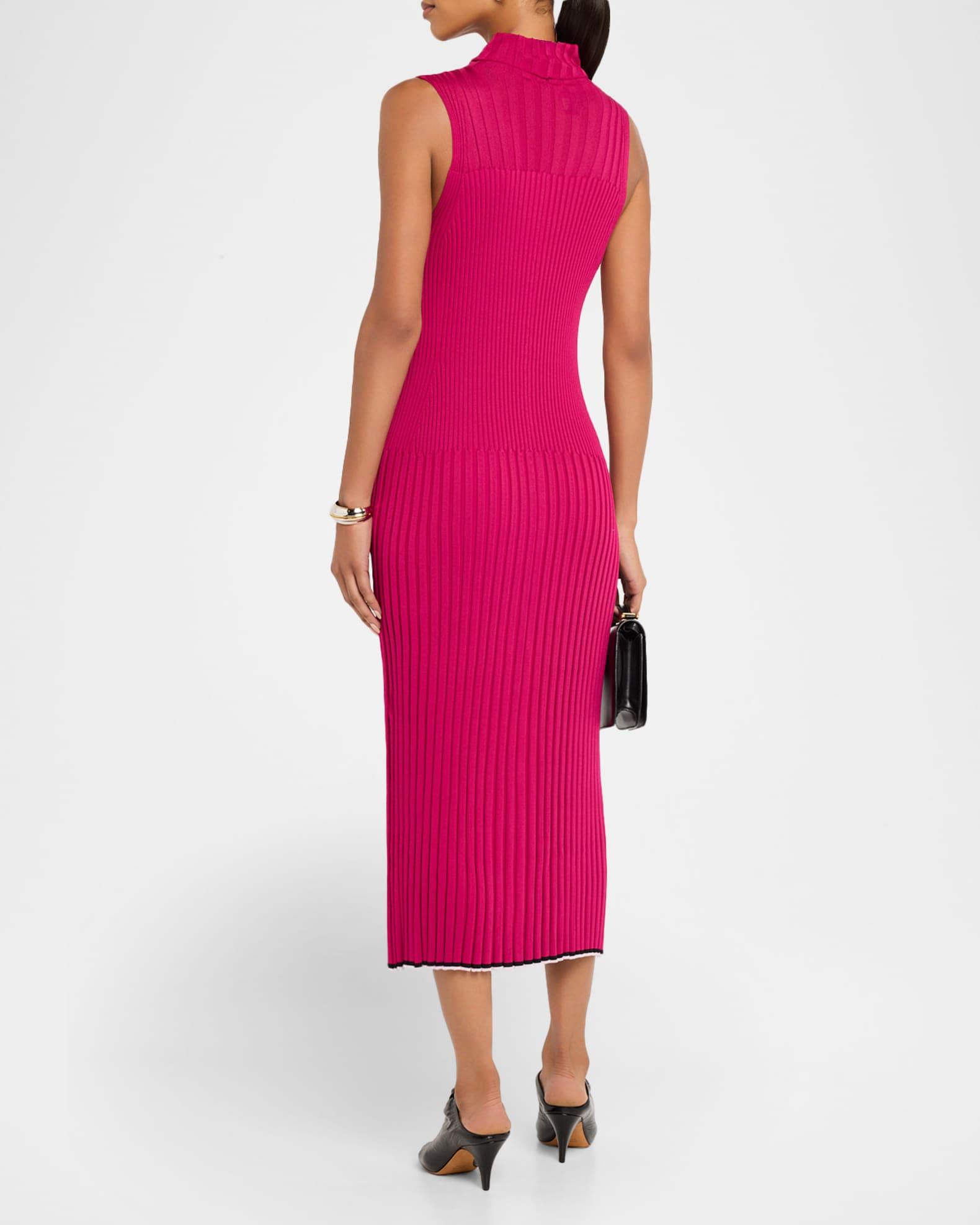 Maia Ribbed Turtleneck Dress Product Image