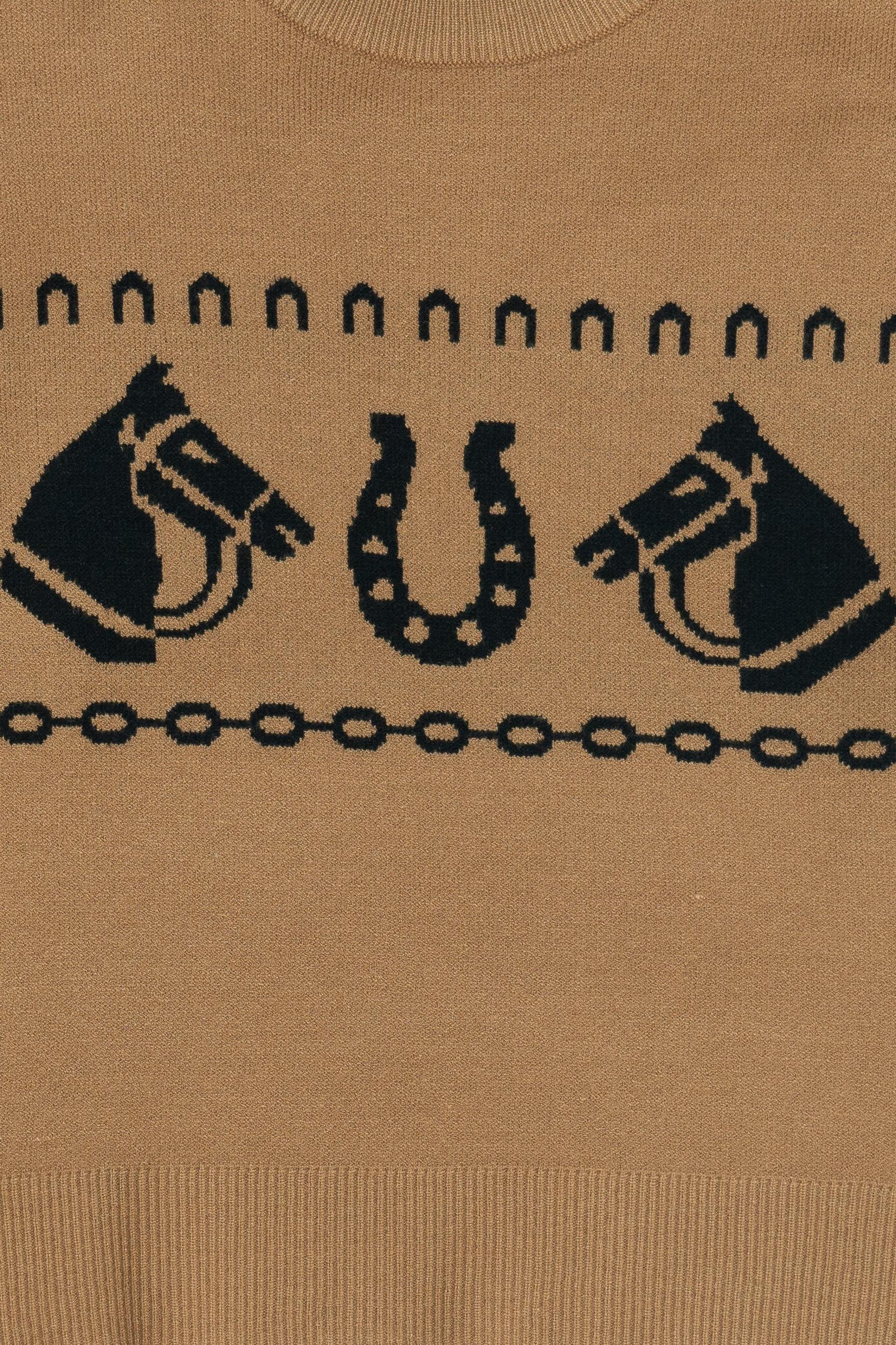 Western Pullover Sweater Product Image