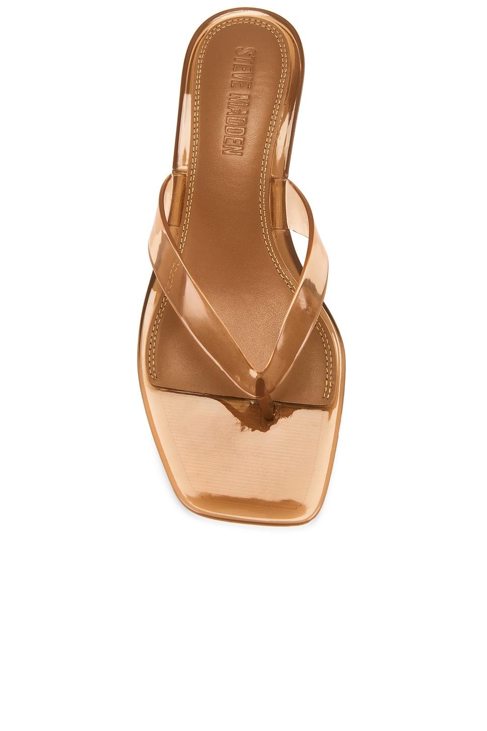 Tracie-j Sandal Steve Madden Product Image