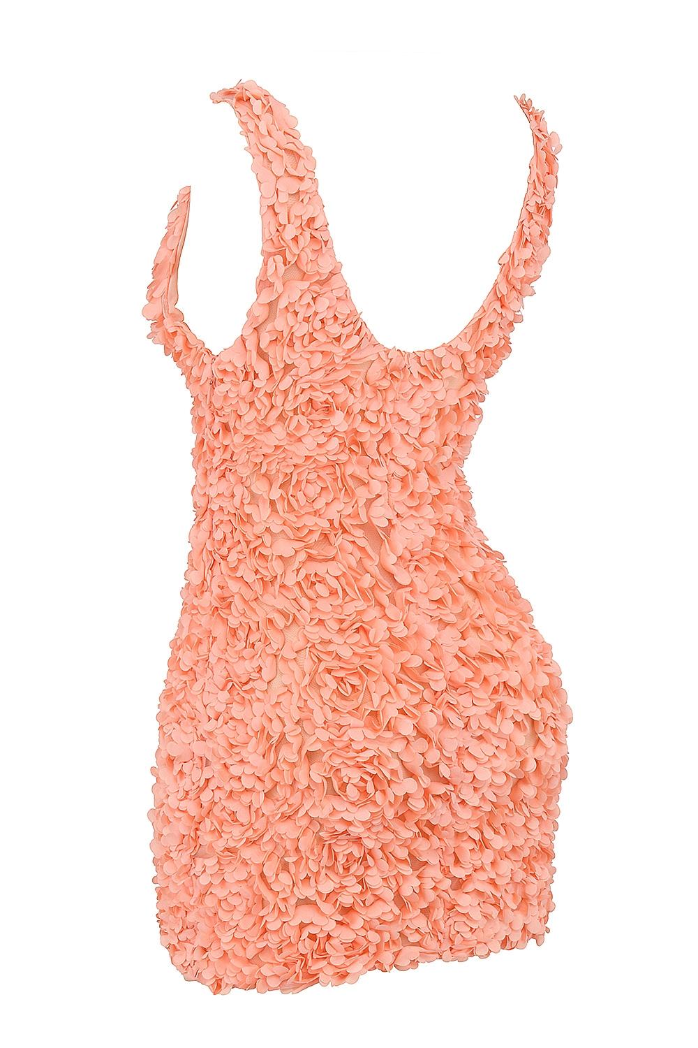 Faena  sorbet plunge floral appliqué mini dress - sale Product Image
