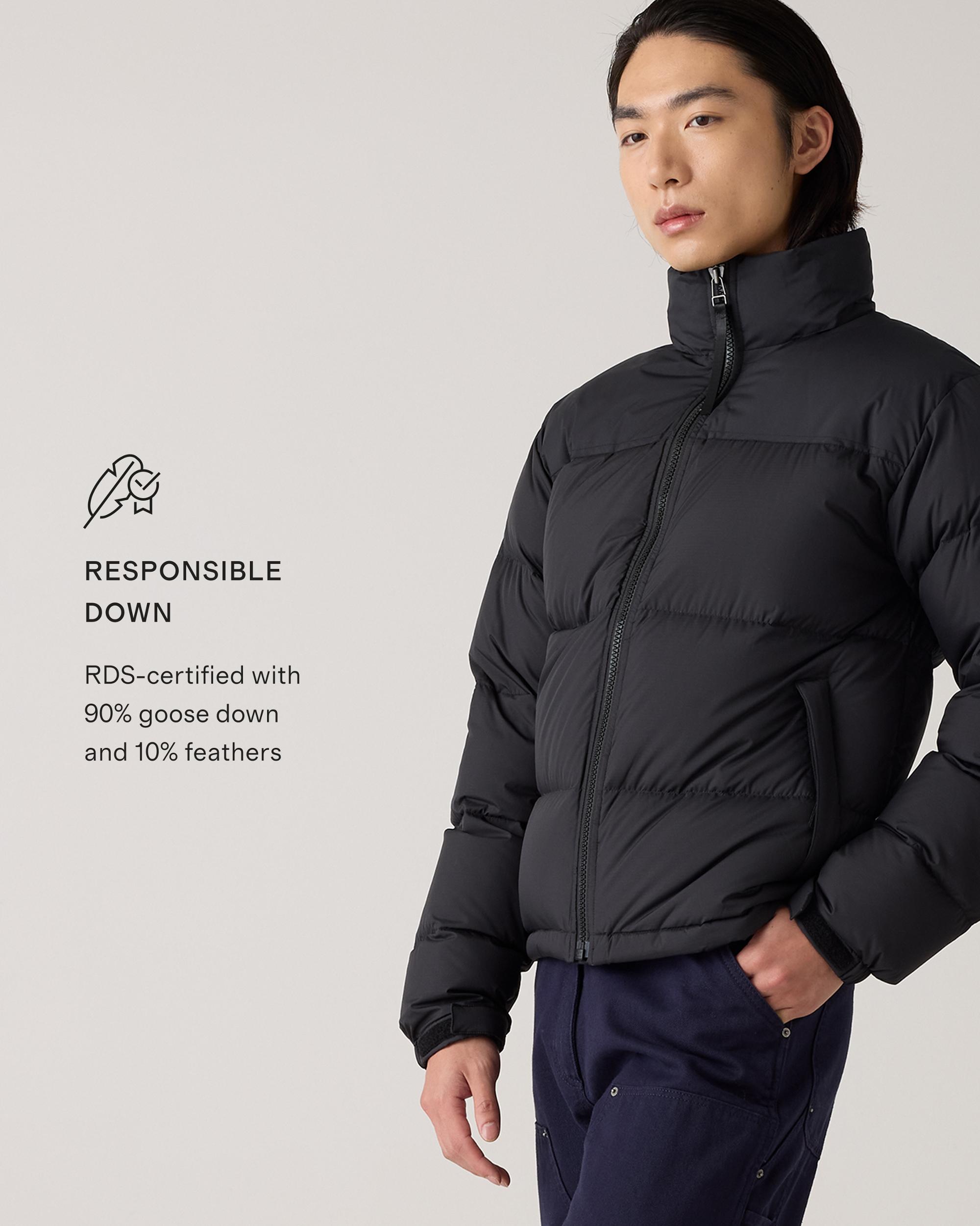 Quince | Men's Responsible Down Puffer Jacket Recycled Polyester Product Image