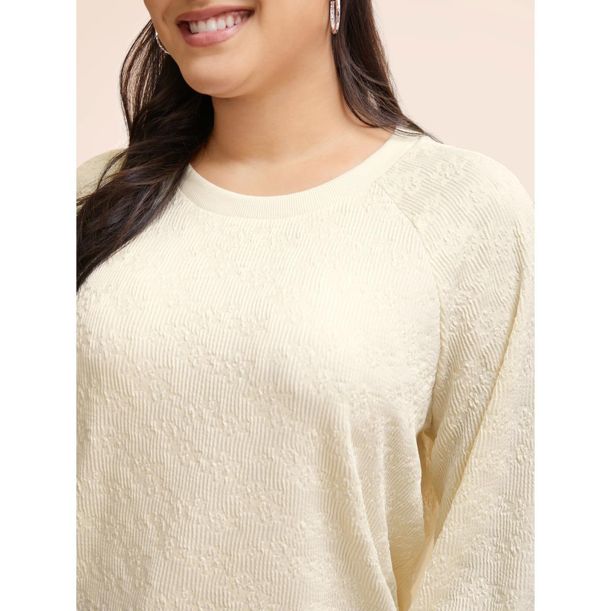 Plus Size Crew Neck Plain Textured Raglan Sleeve Sweatshirt Women Beige Elegant Texture Round Neck Everyday Sweatshirts BloomChic 22-24/3X Product Image